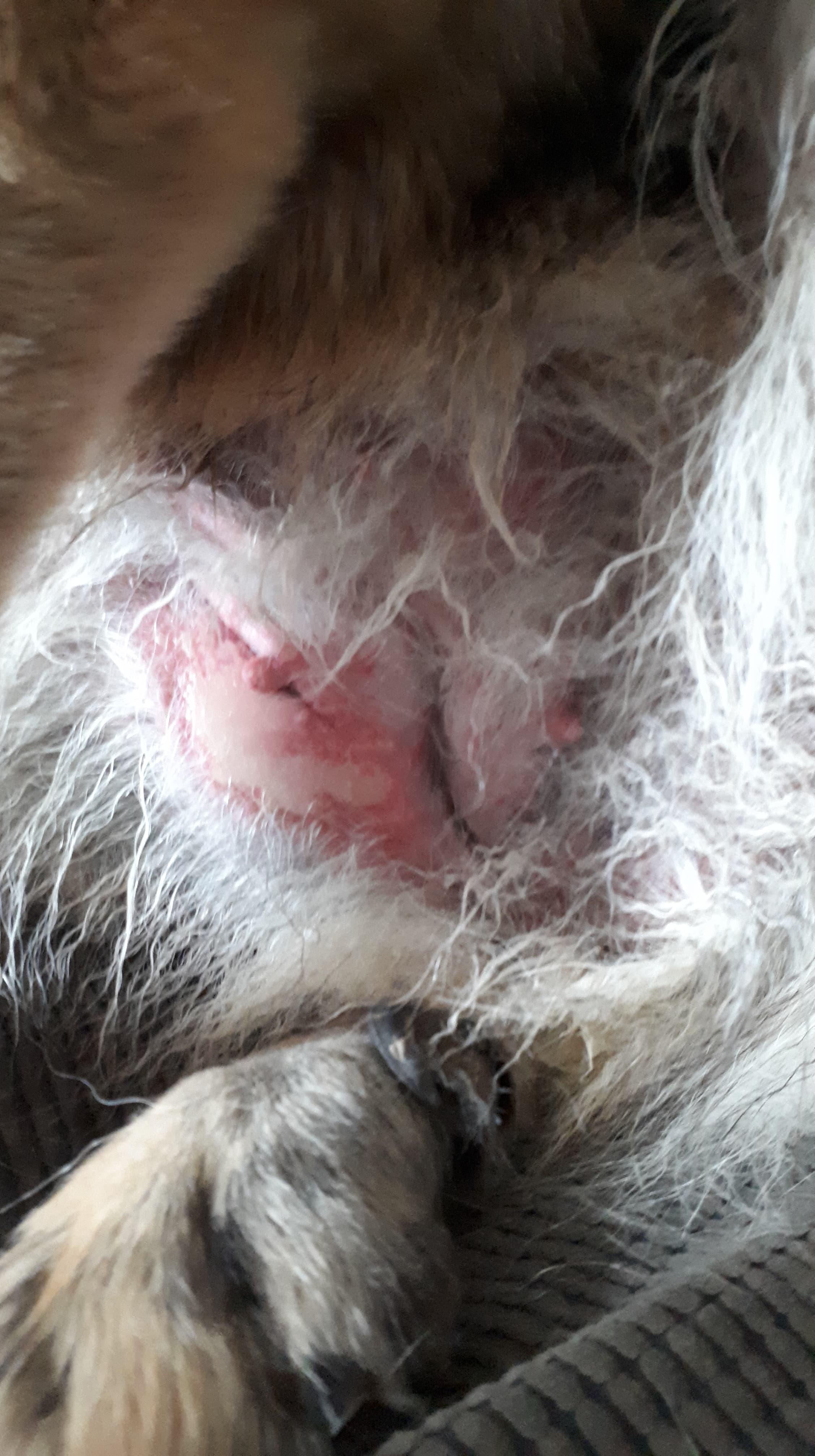 Question details sensitive content