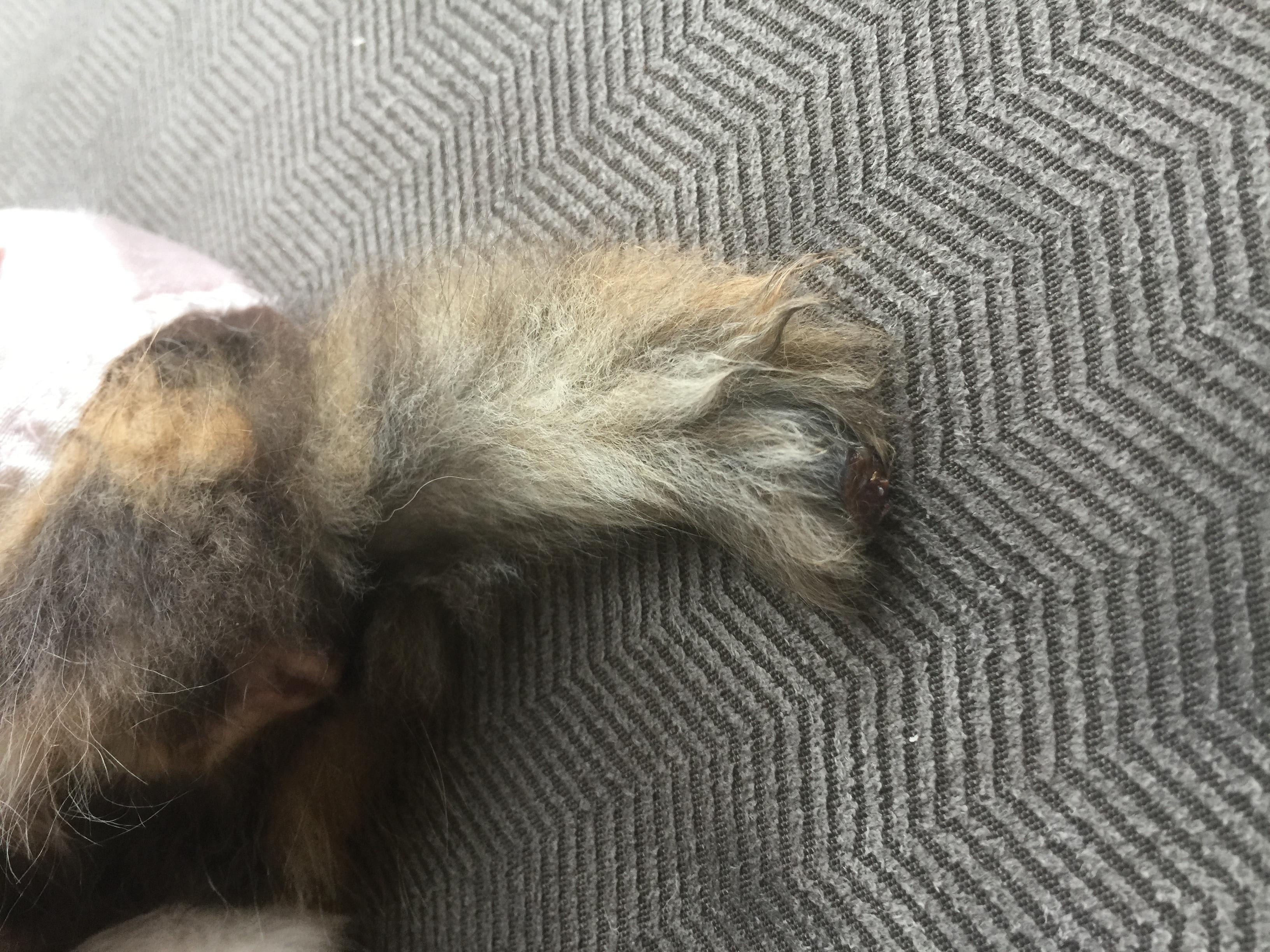 Question details sensitive content