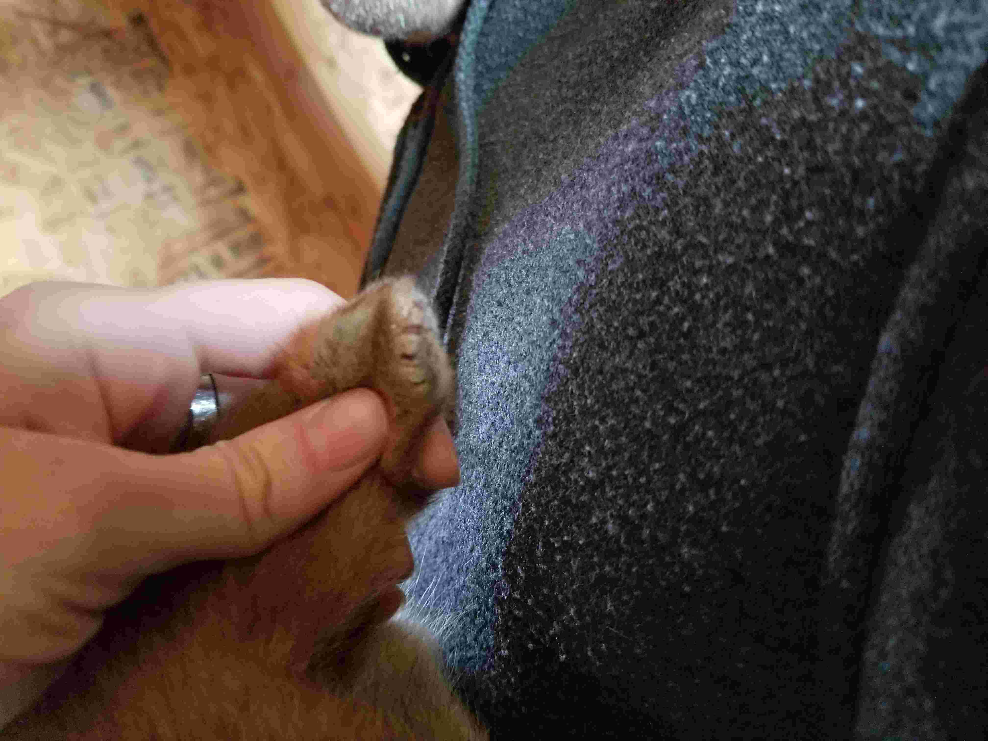 Question details sensitive content