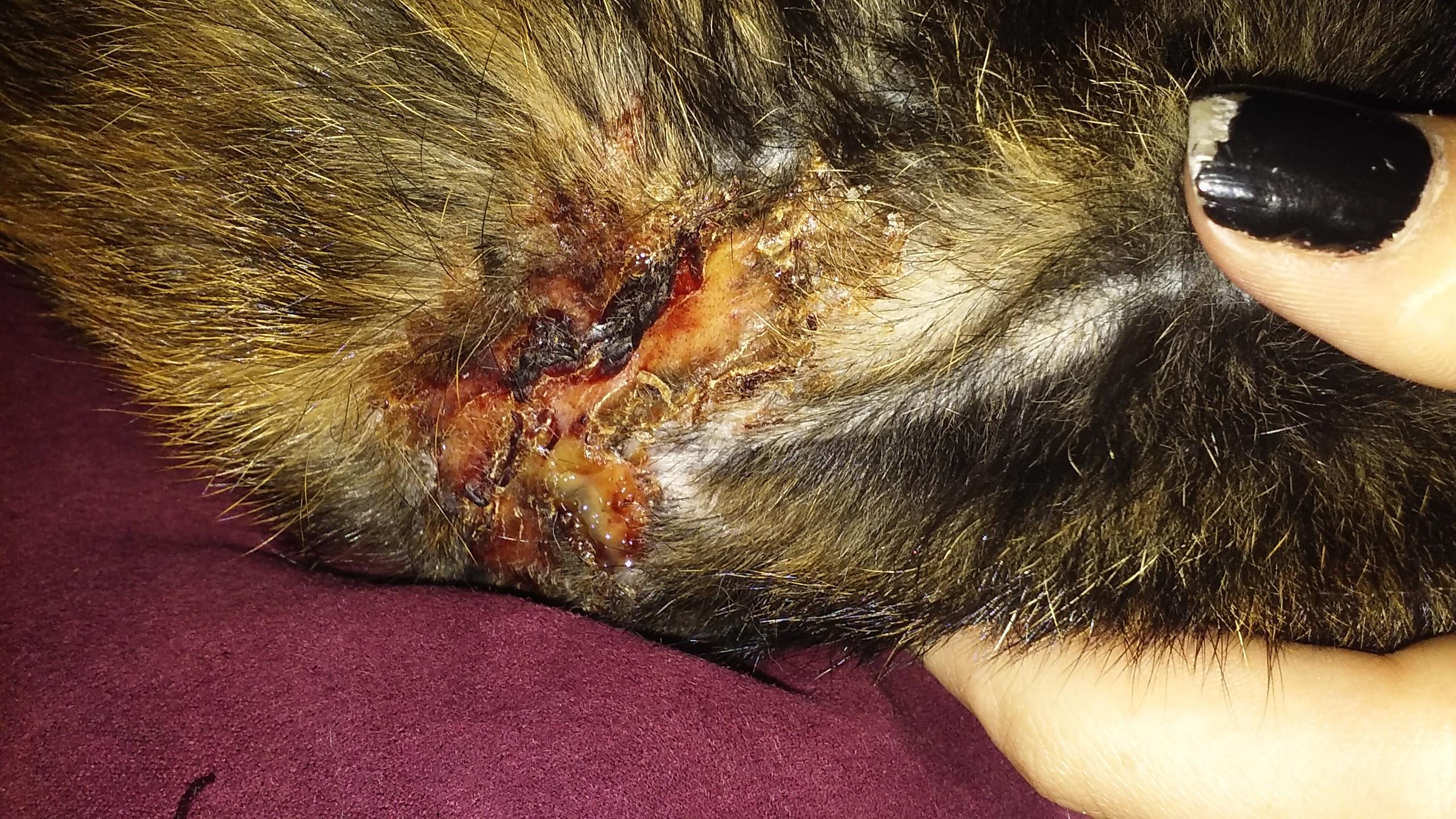 Question details sensitive content