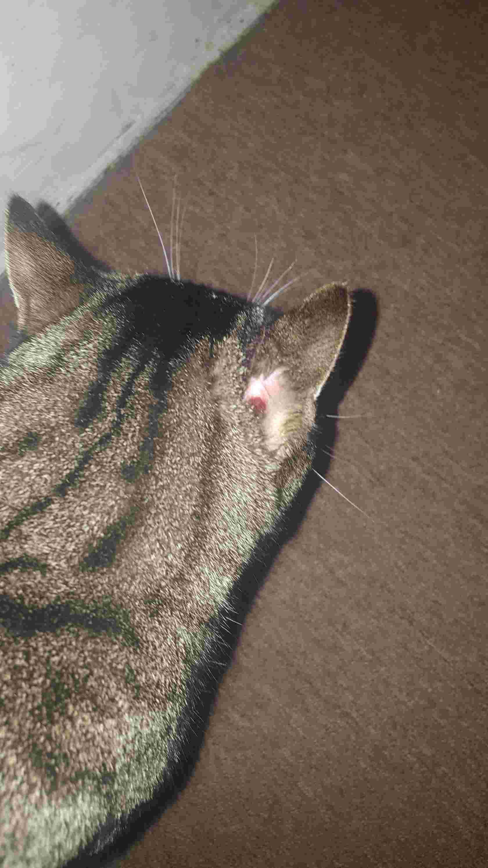 Question details sensitive content