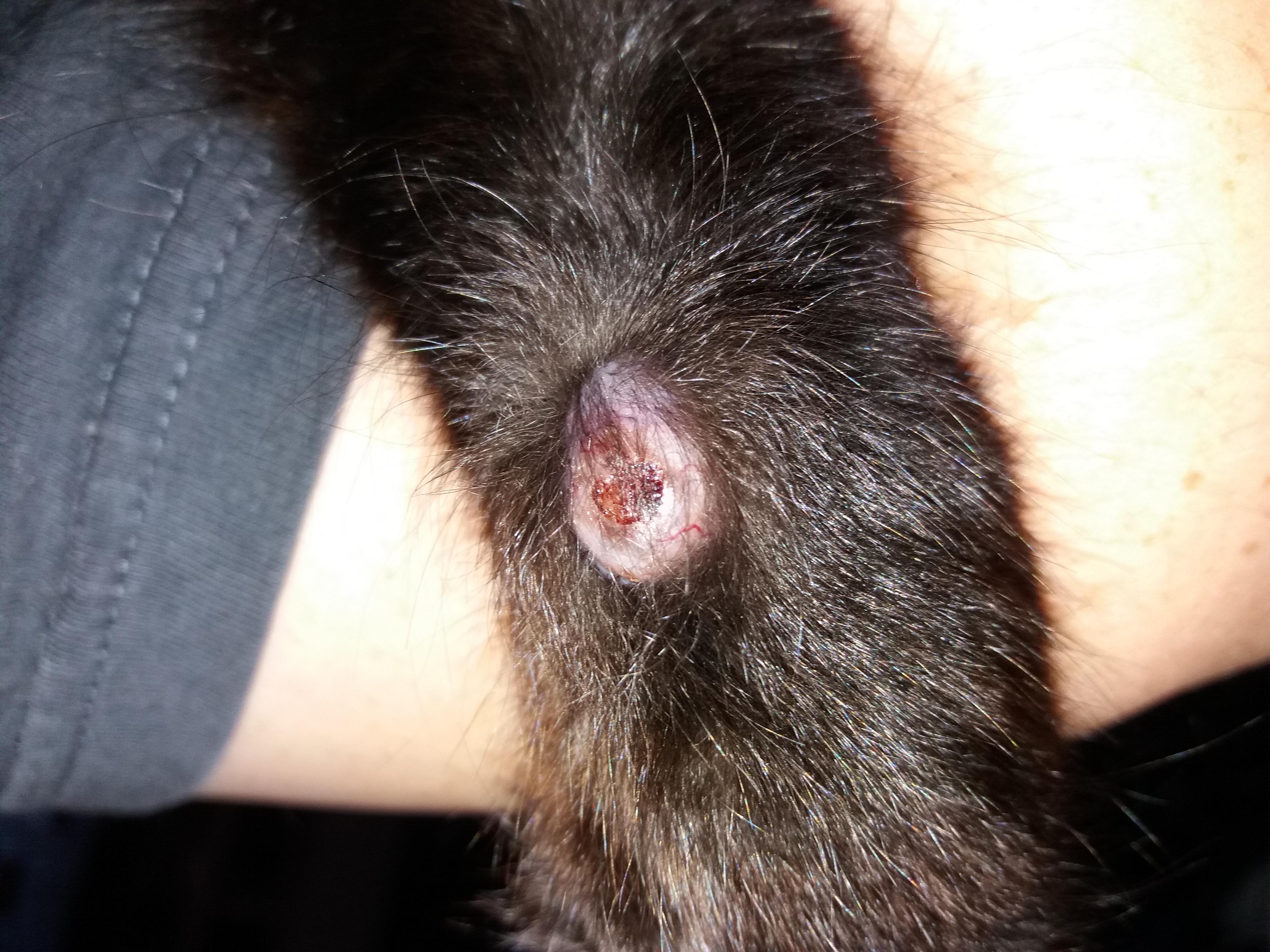 Question details sensitive content