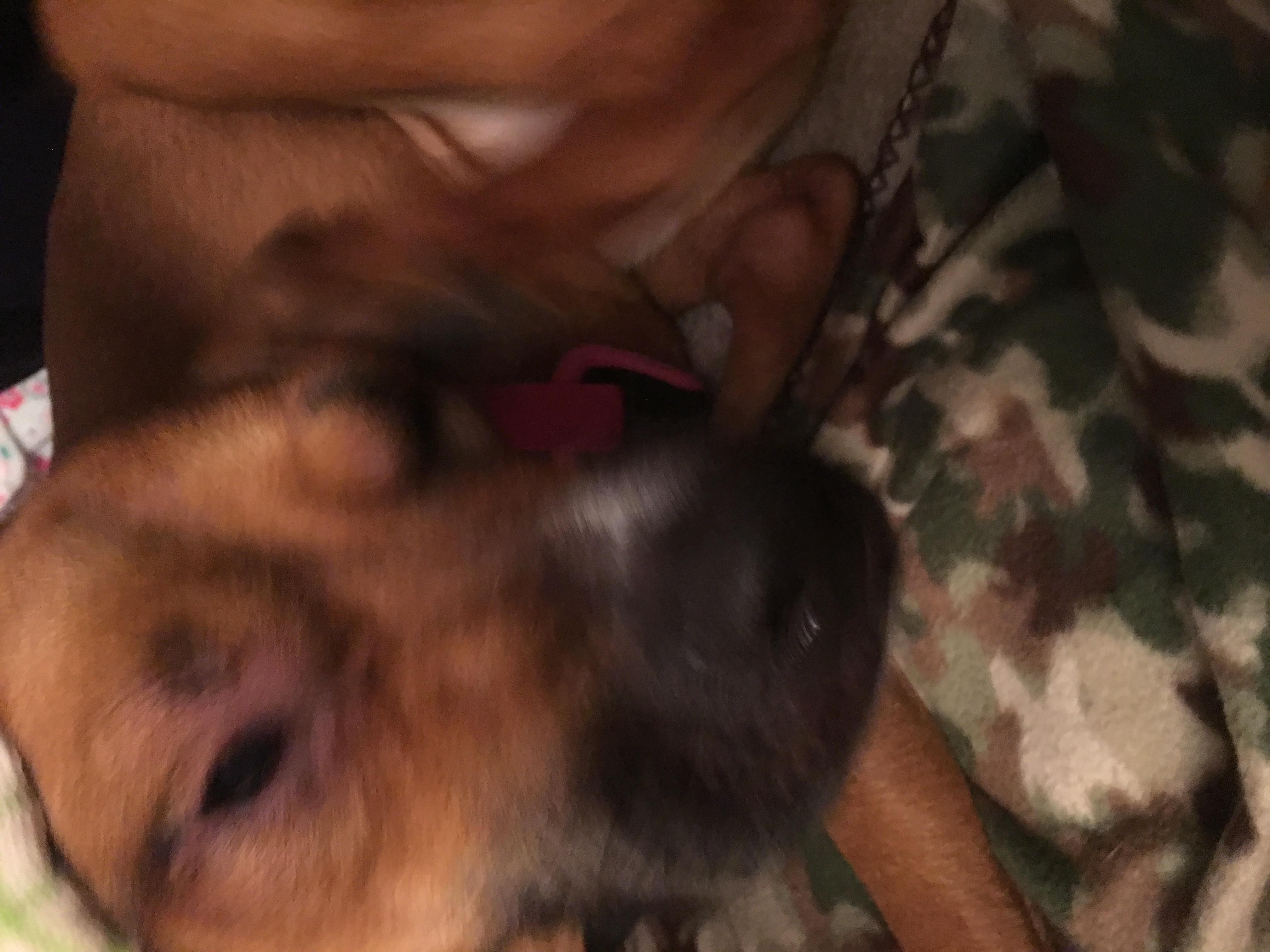 Question details sensitive content