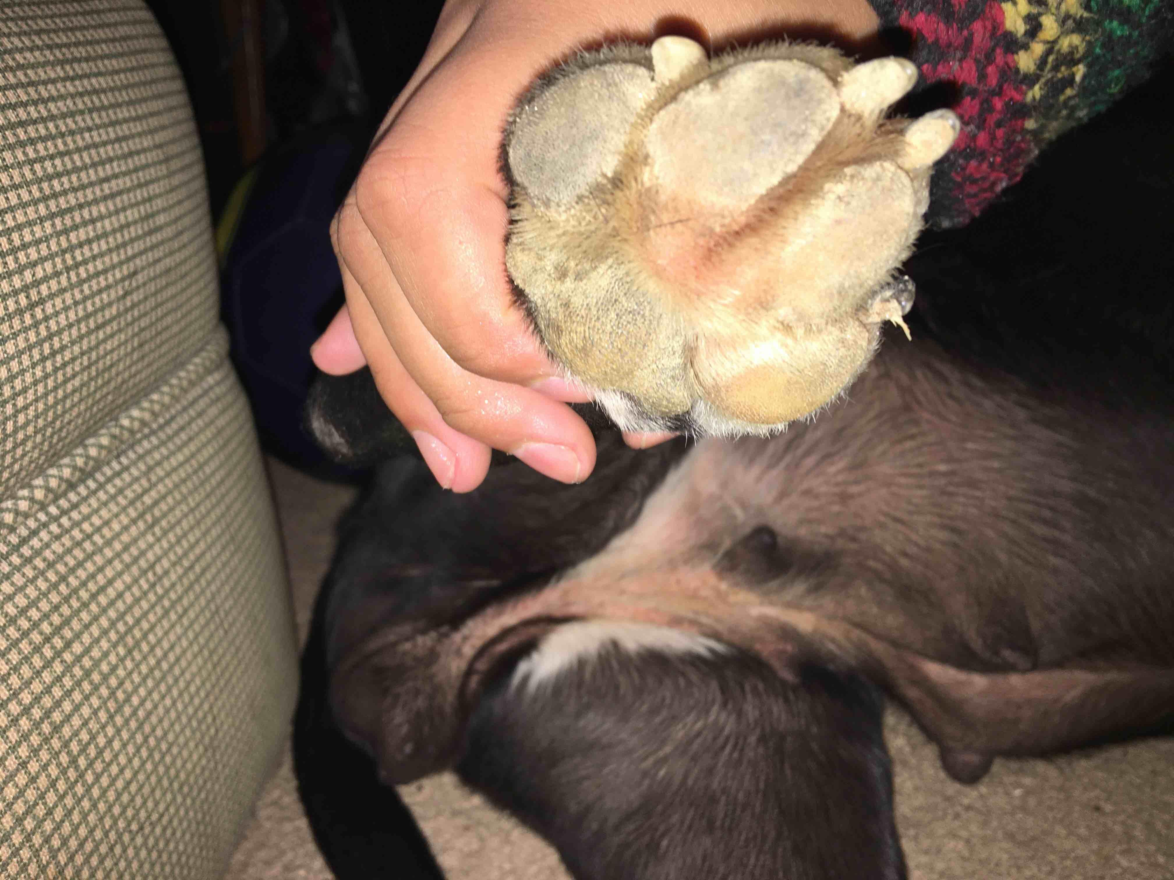 Question details sensitive content