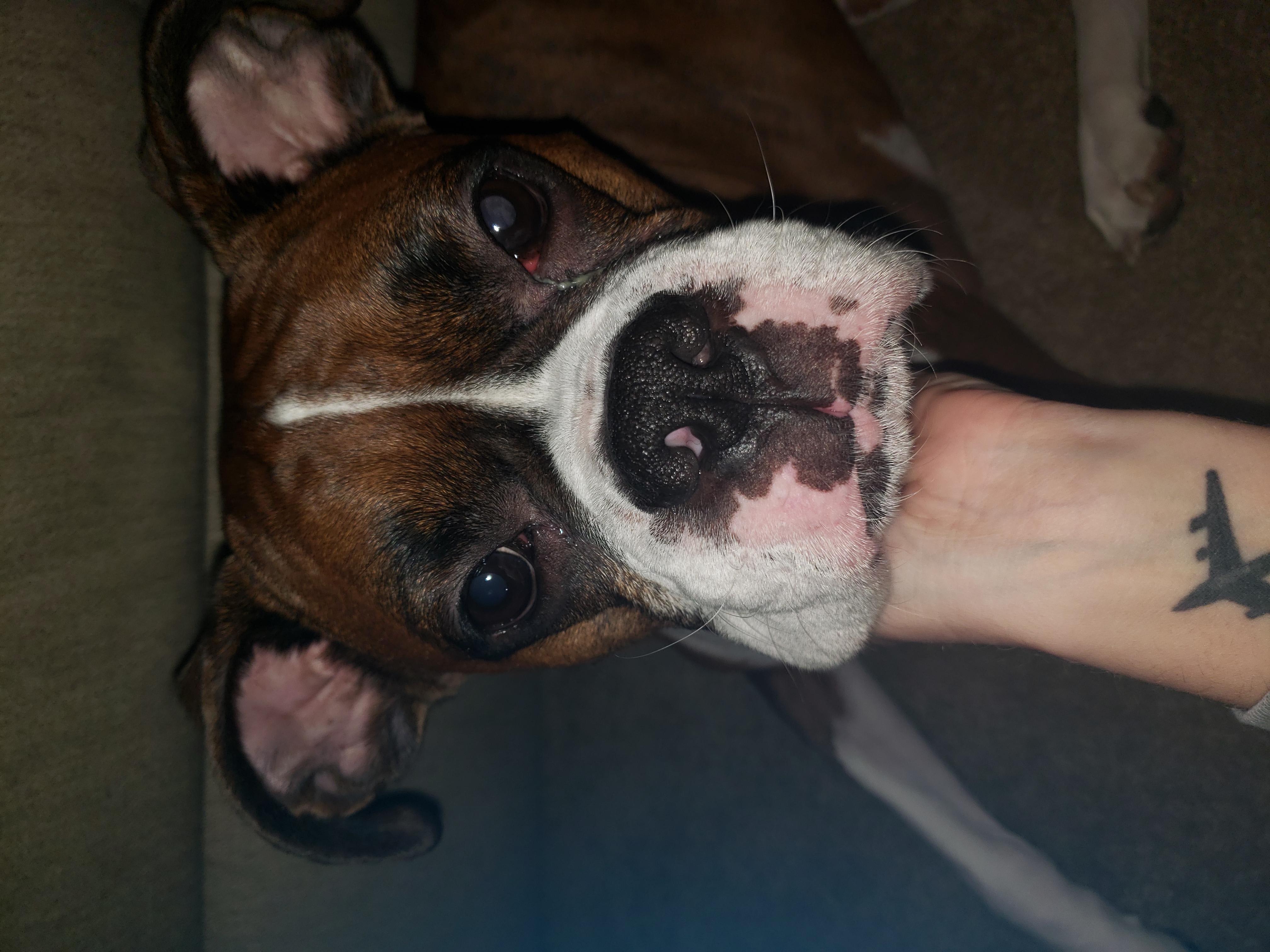 Question details sensitive content