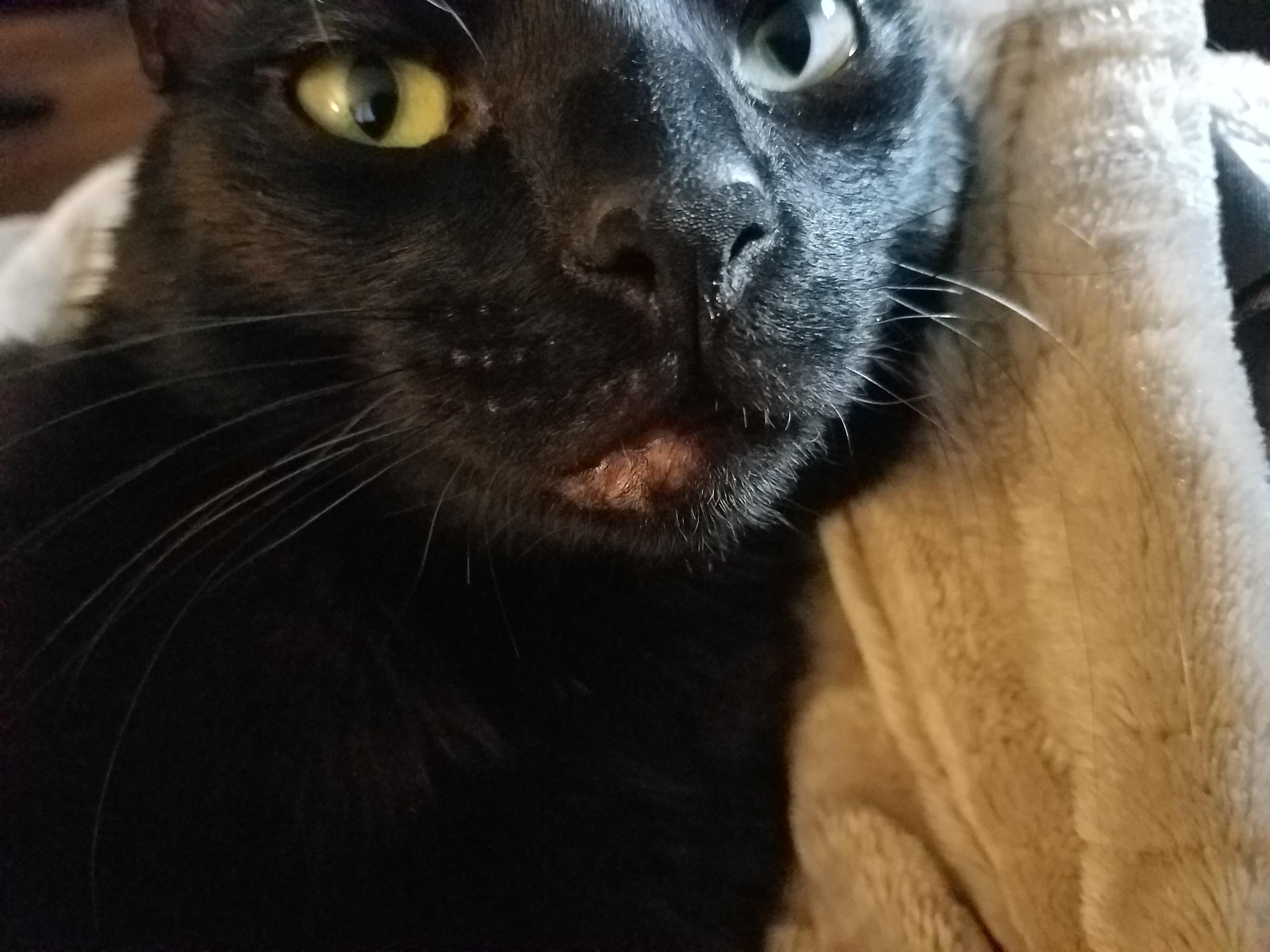 Question details sensitive content