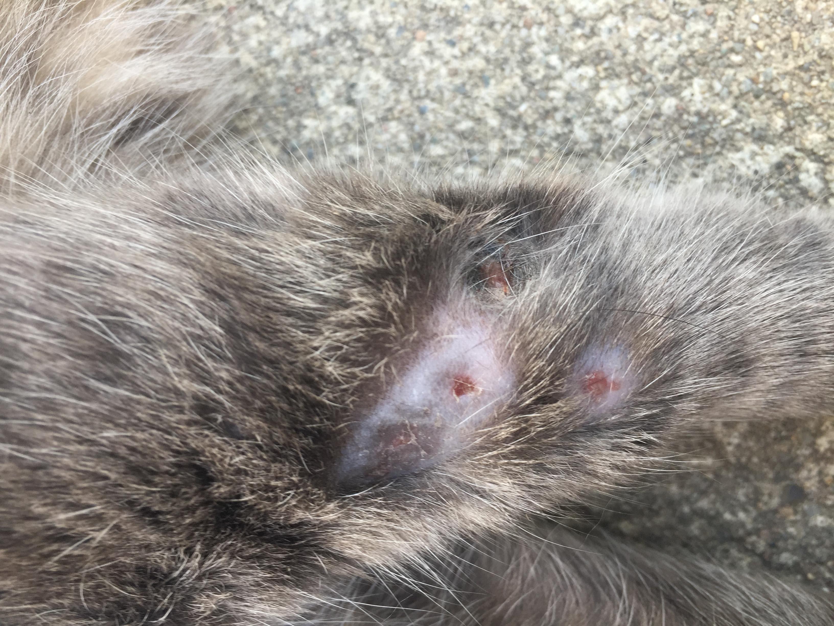 Question details sensitive content