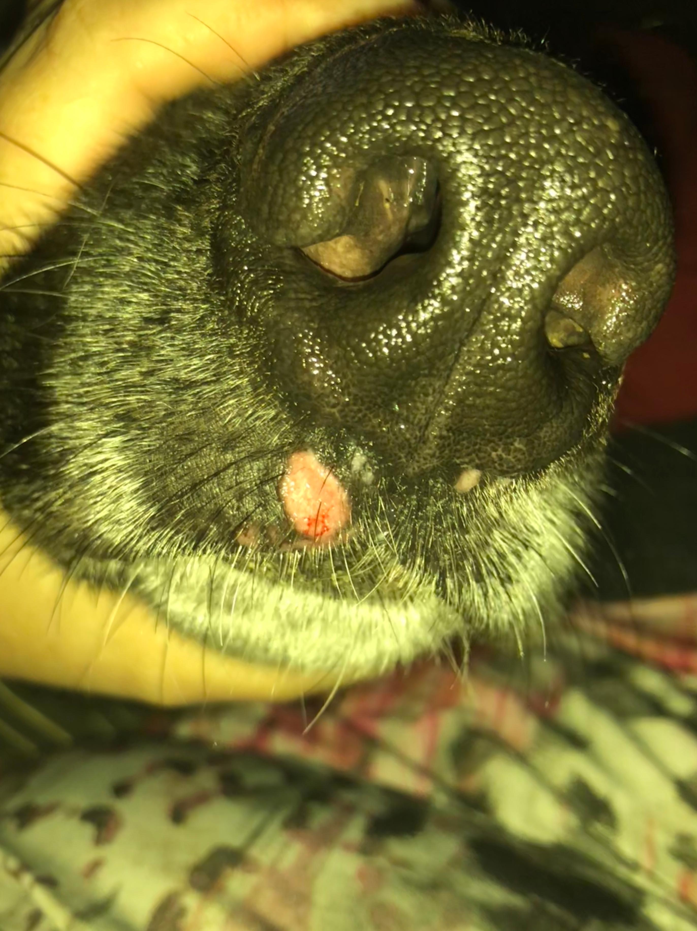 Question details sensitive content