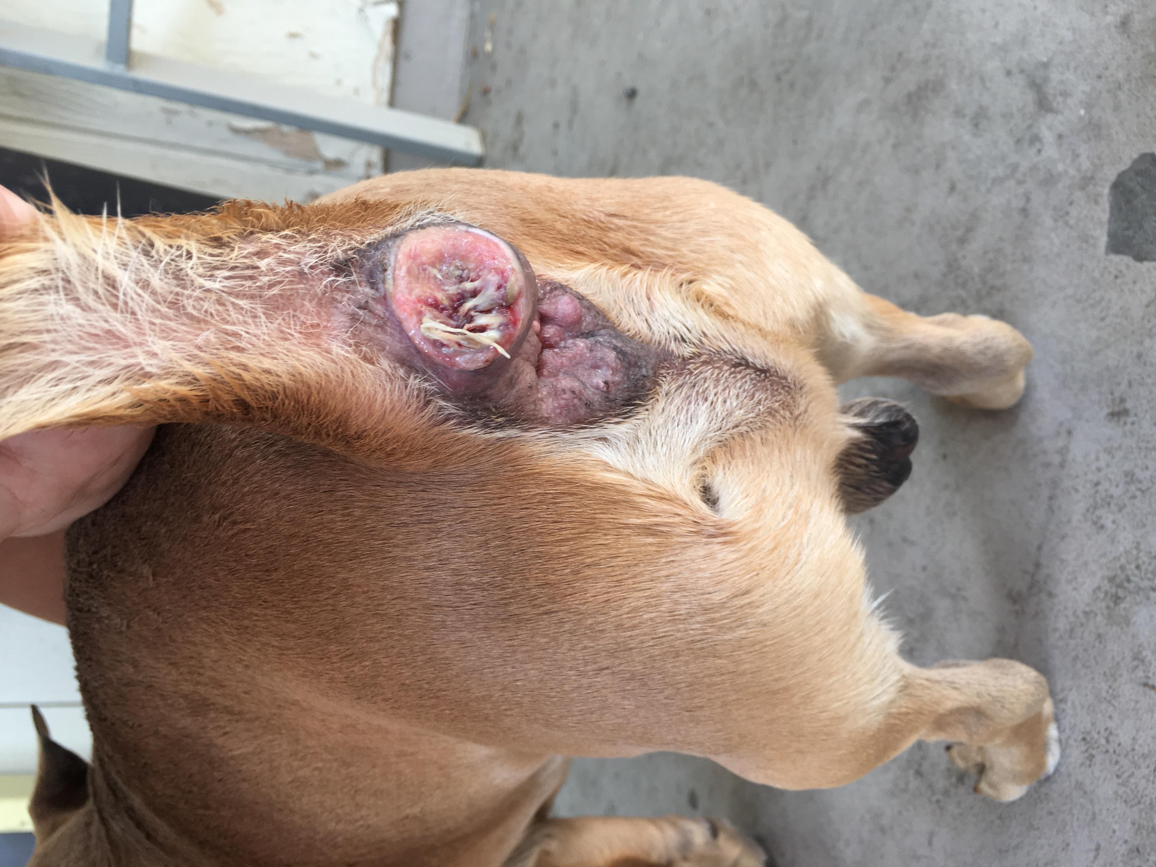 Question details sensitive content