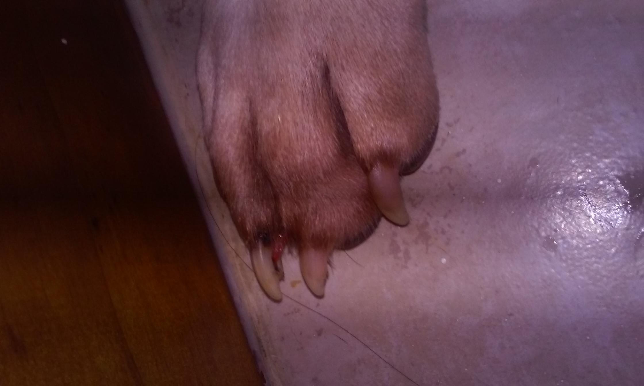 Question details sensitive content