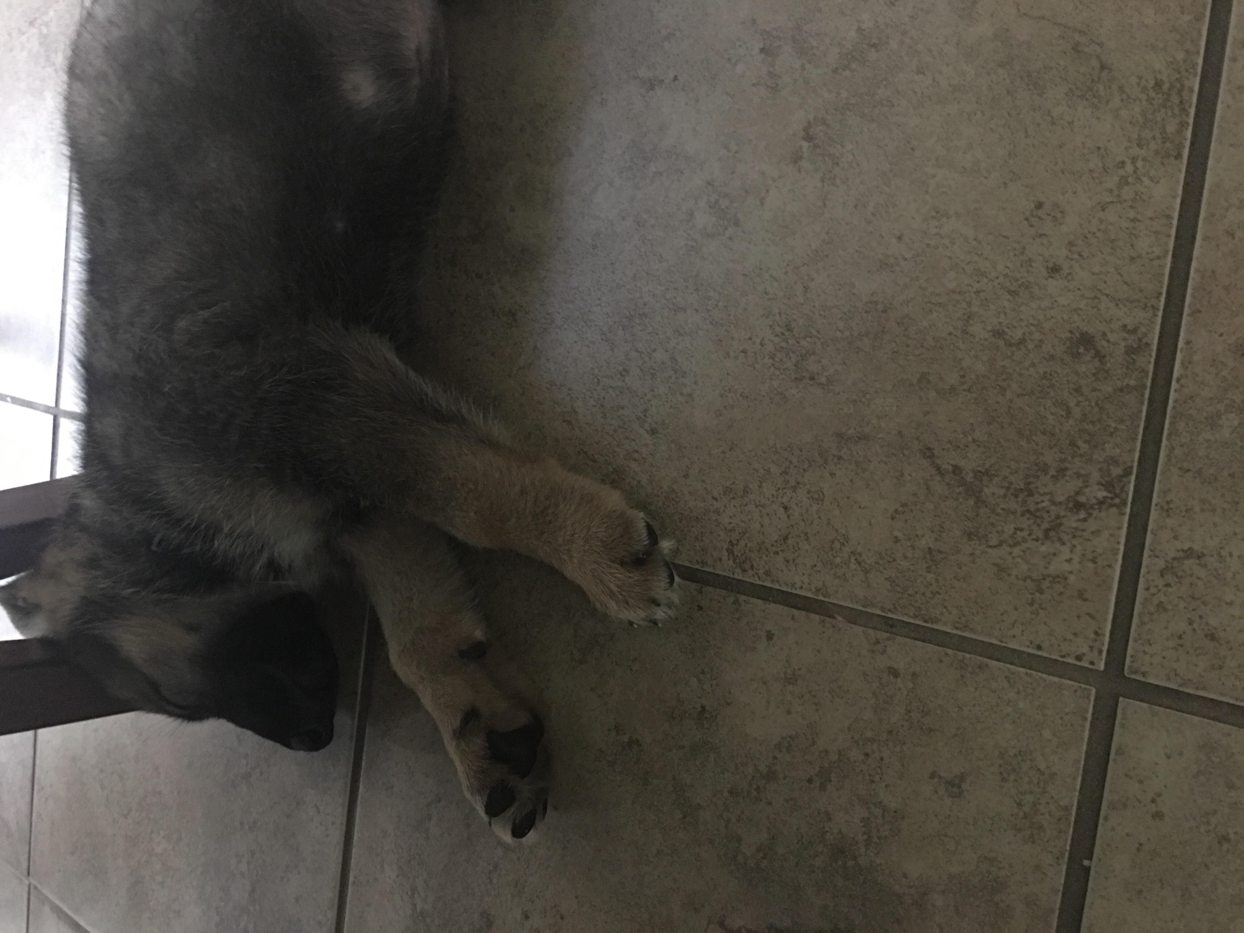 Question details sensitive content