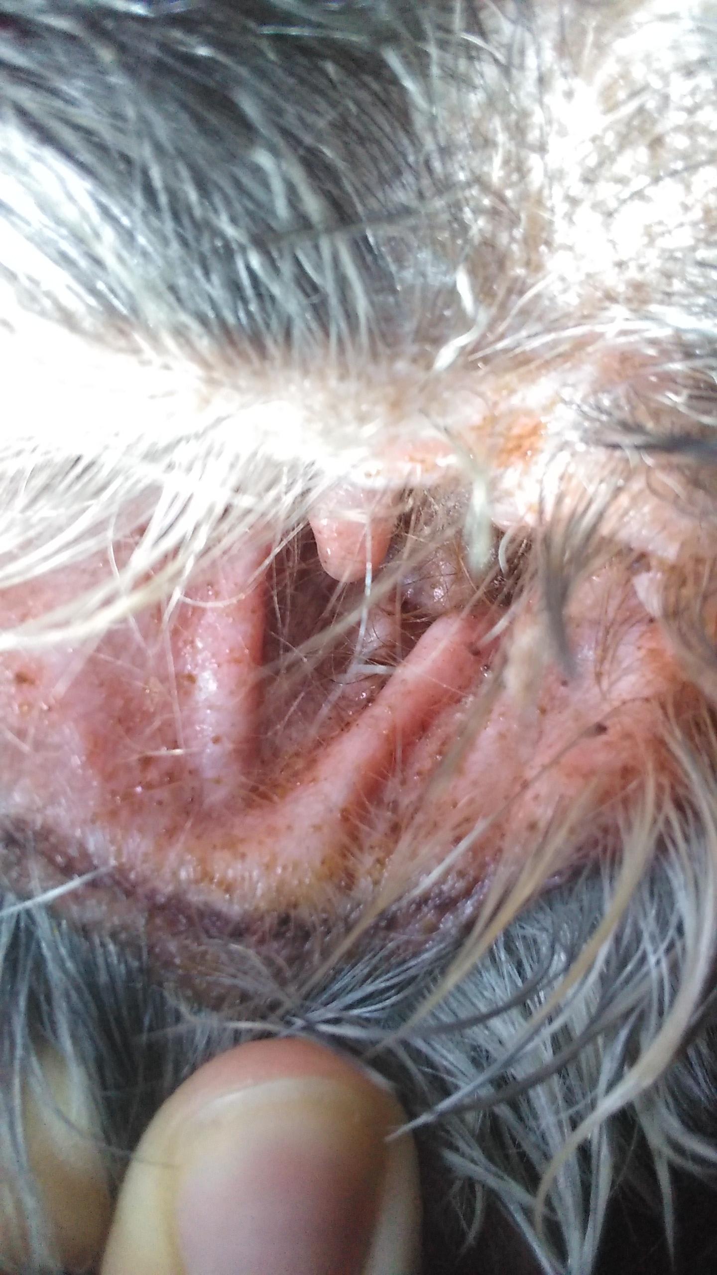 Question details sensitive content