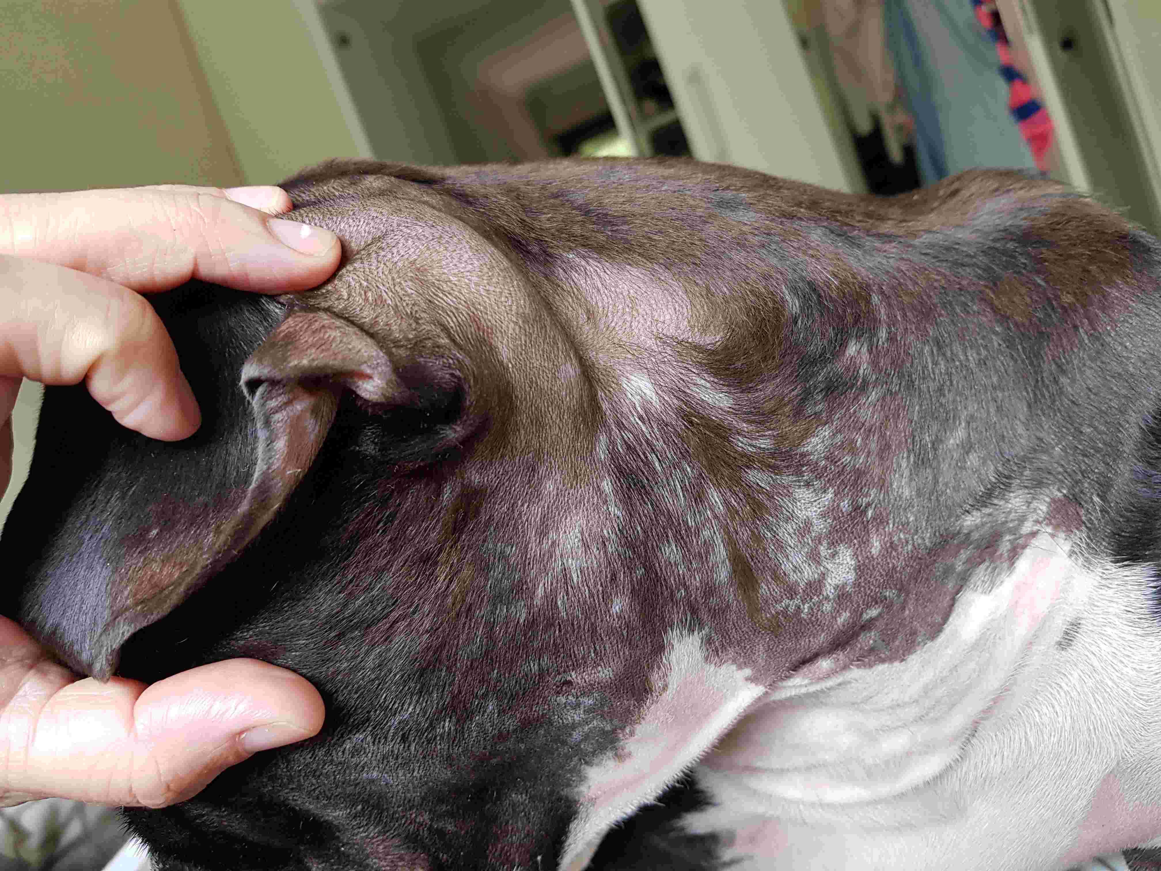 Question details sensitive content