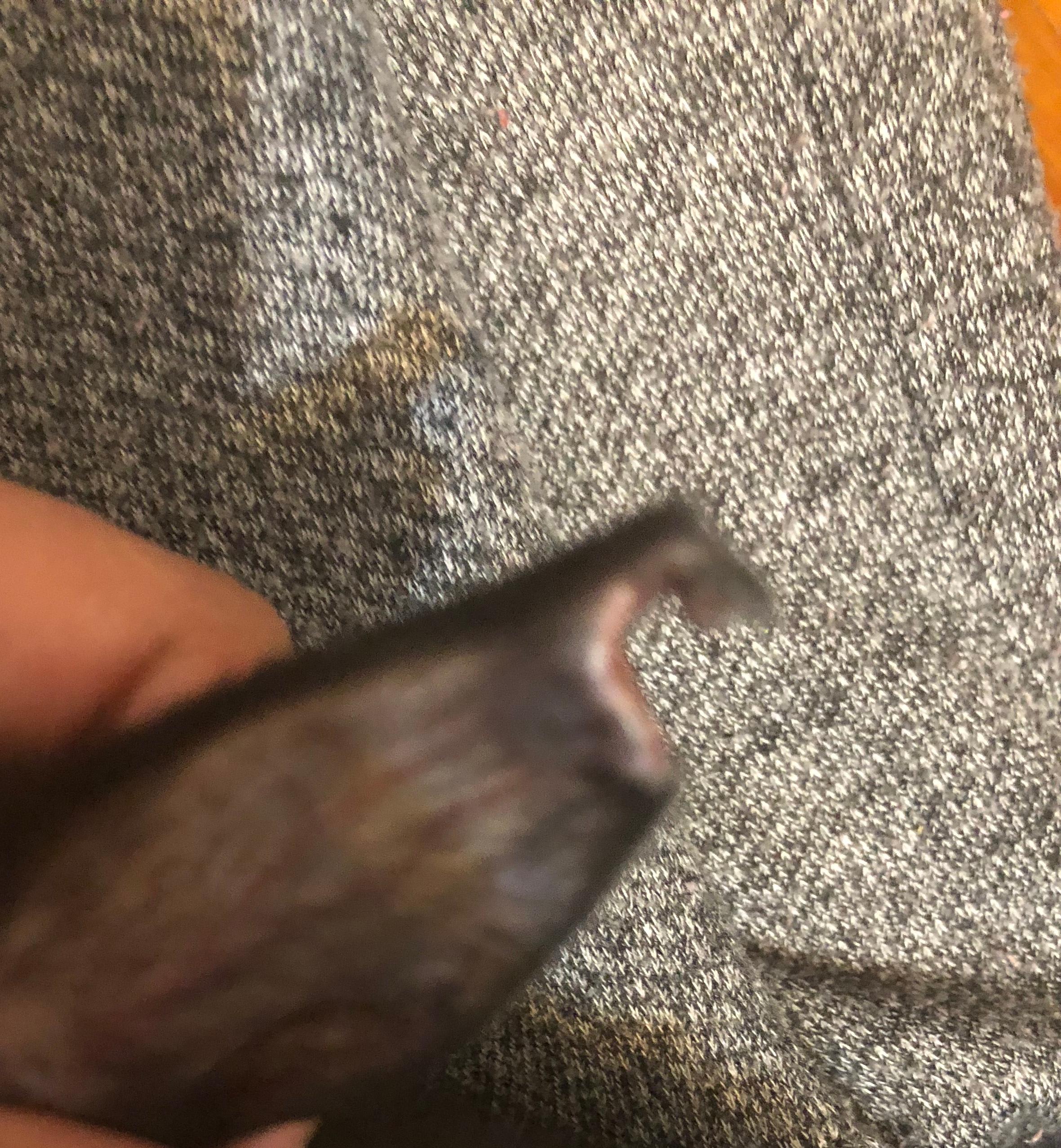 Question details sensitive content