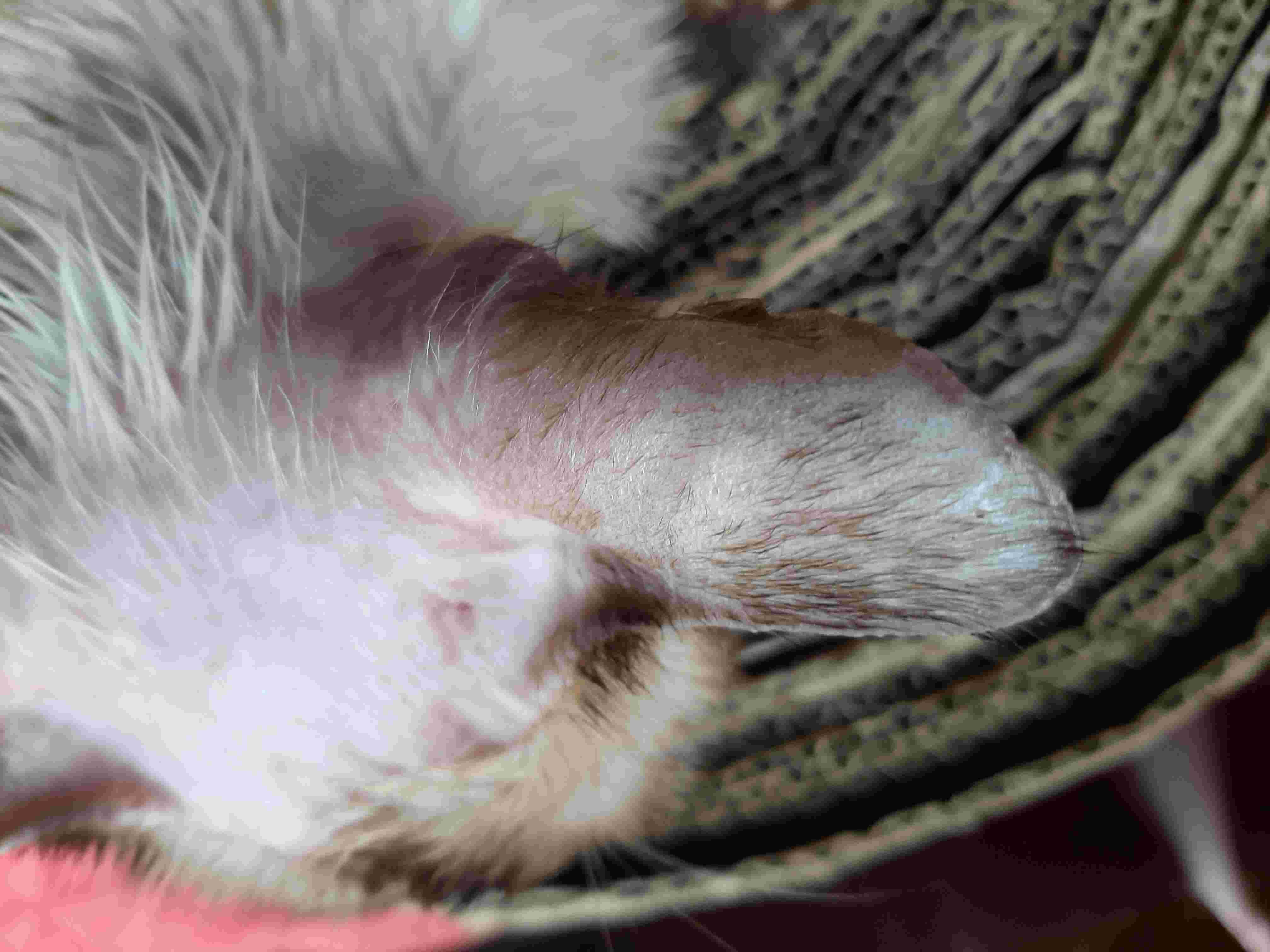 Question details sensitive content