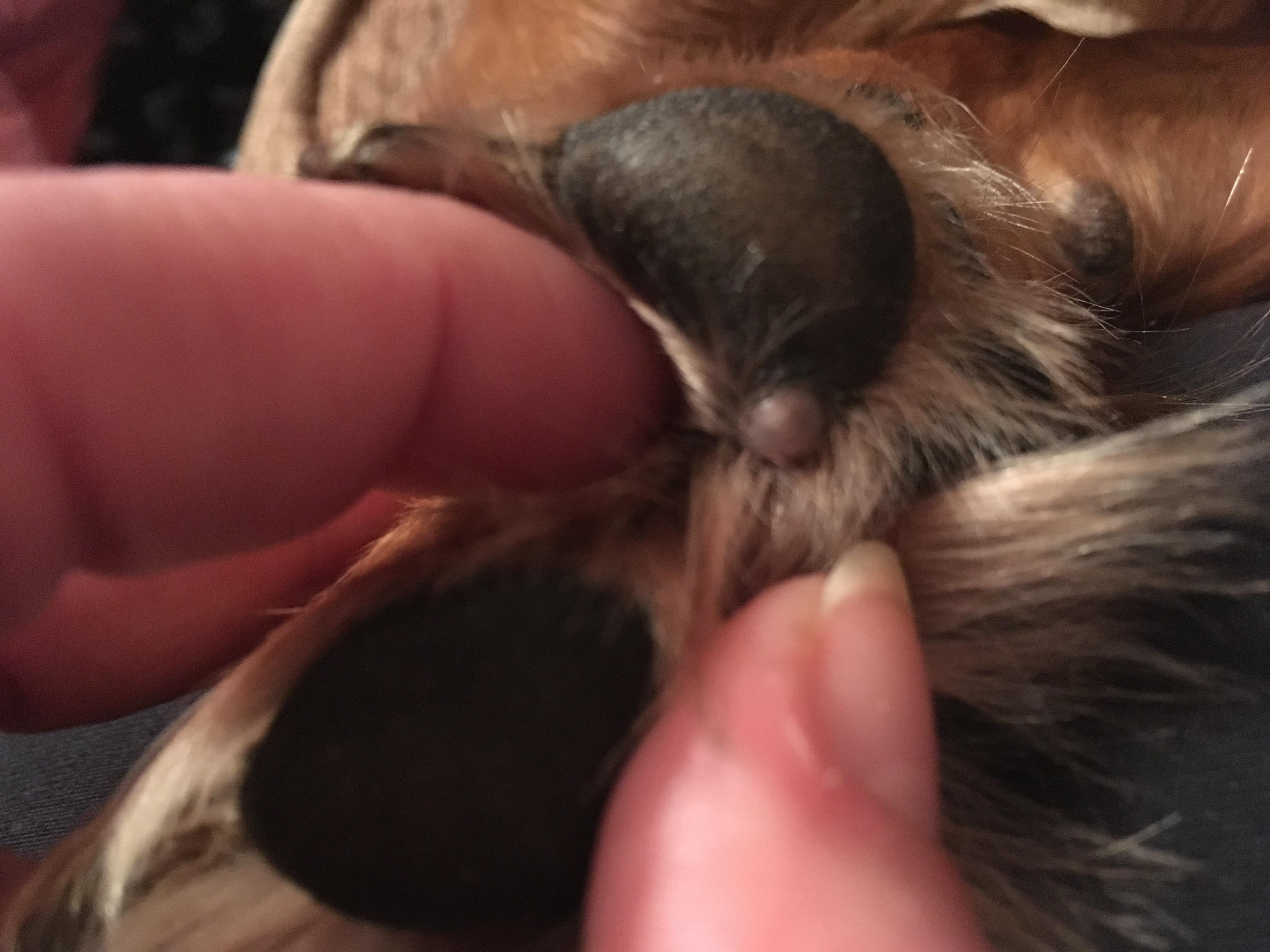 Question details sensitive content