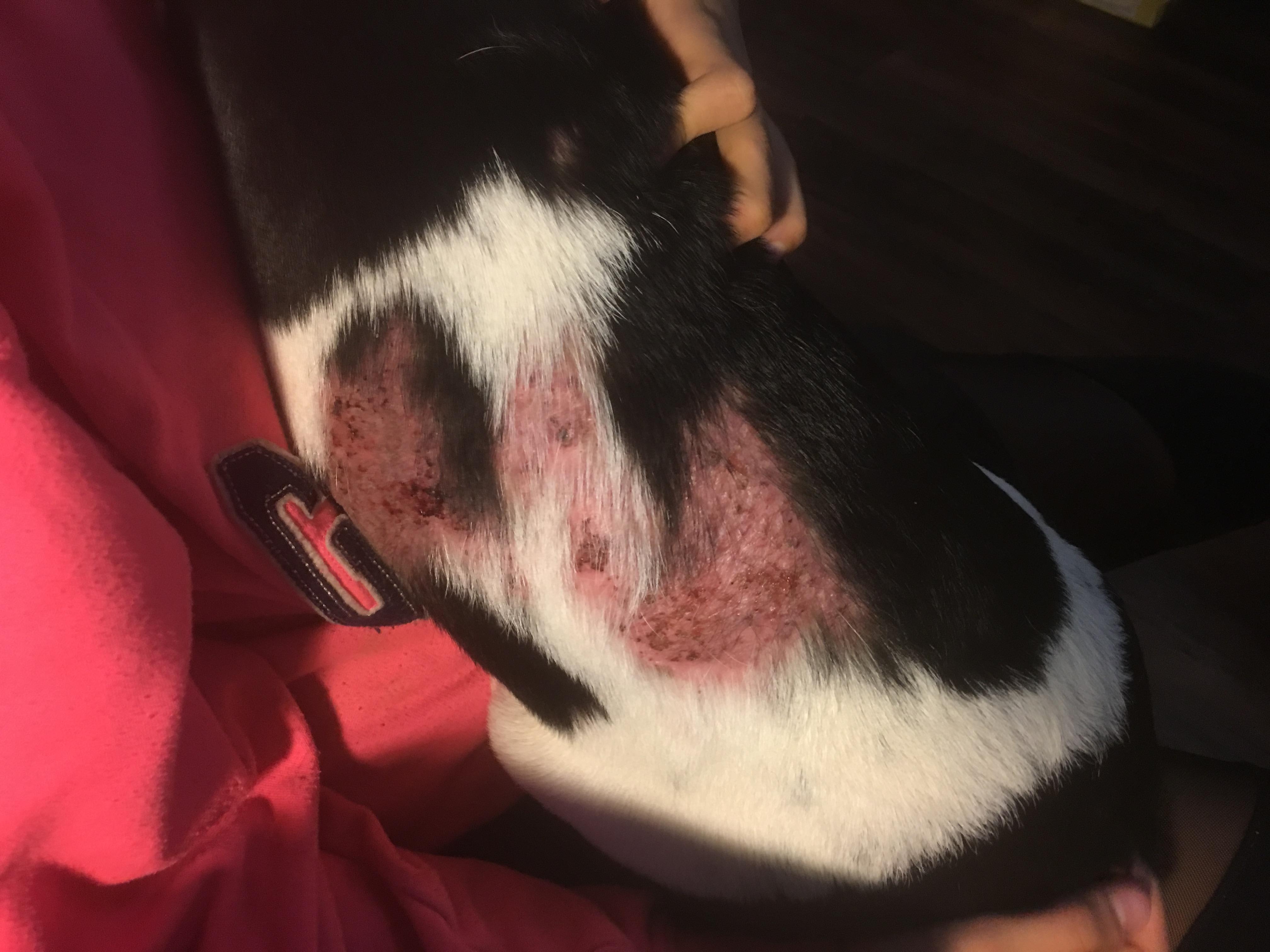 Question details sensitive content