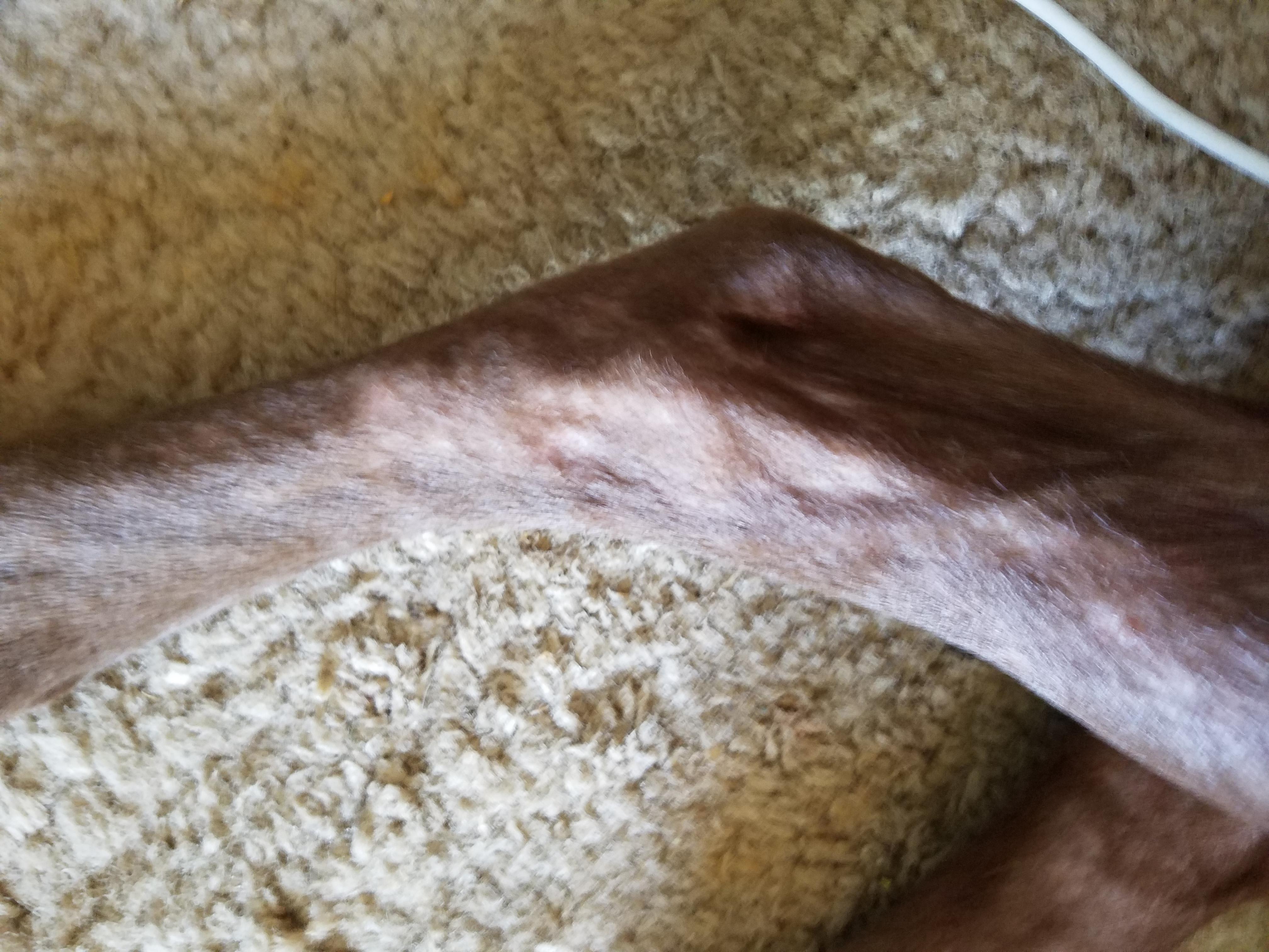 Question details sensitive content