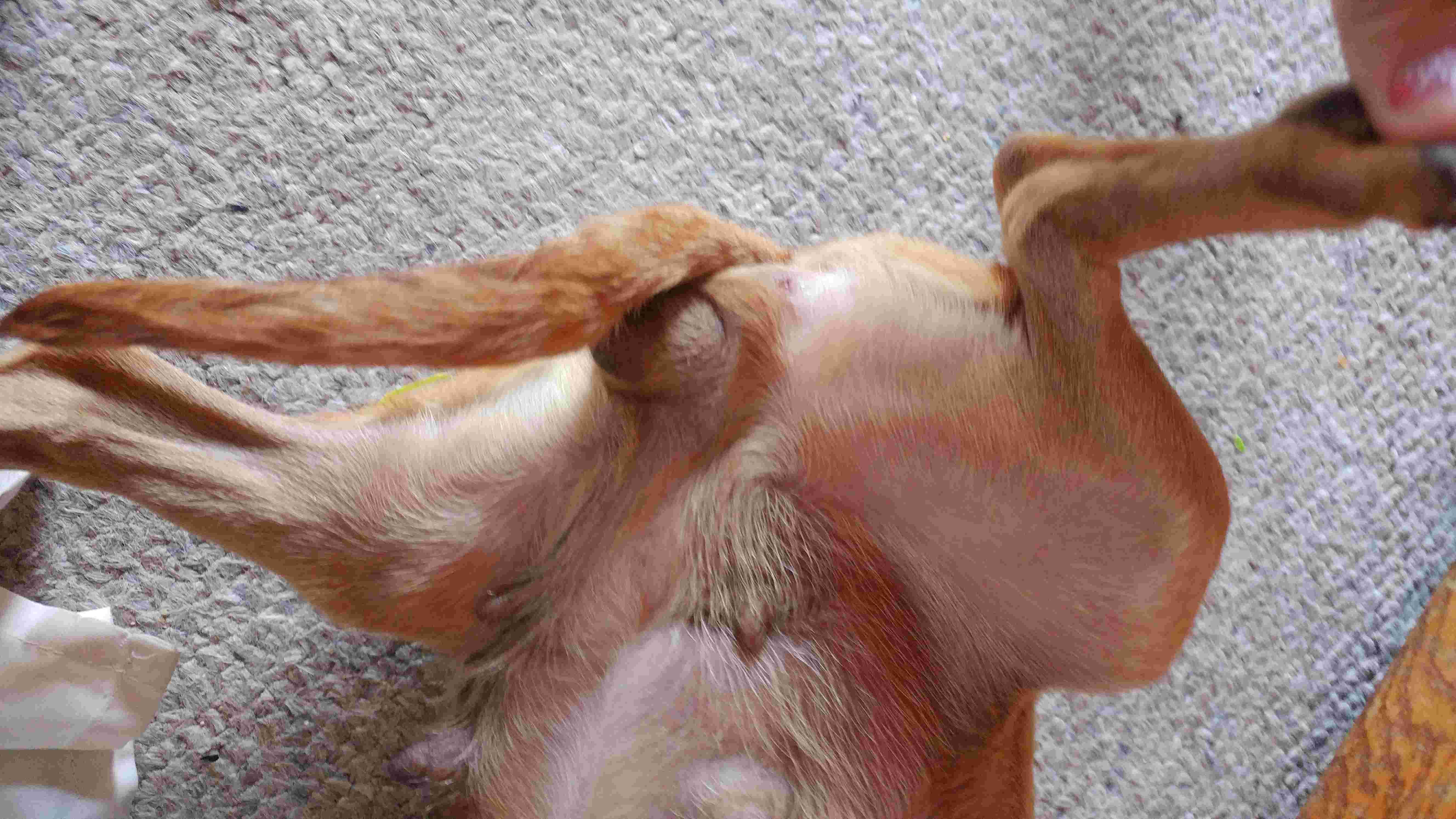 Question details sensitive content