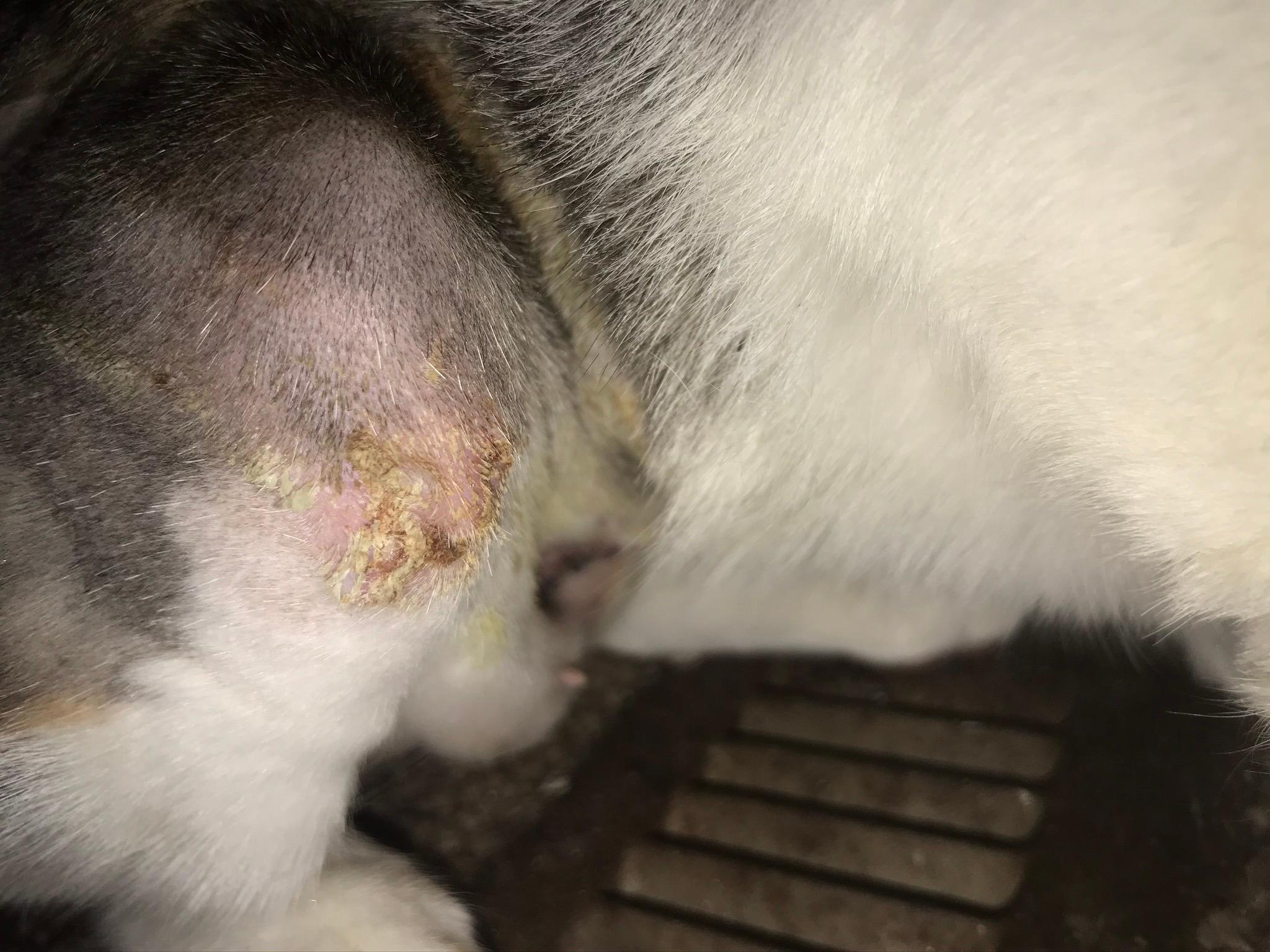 Question details sensitive content