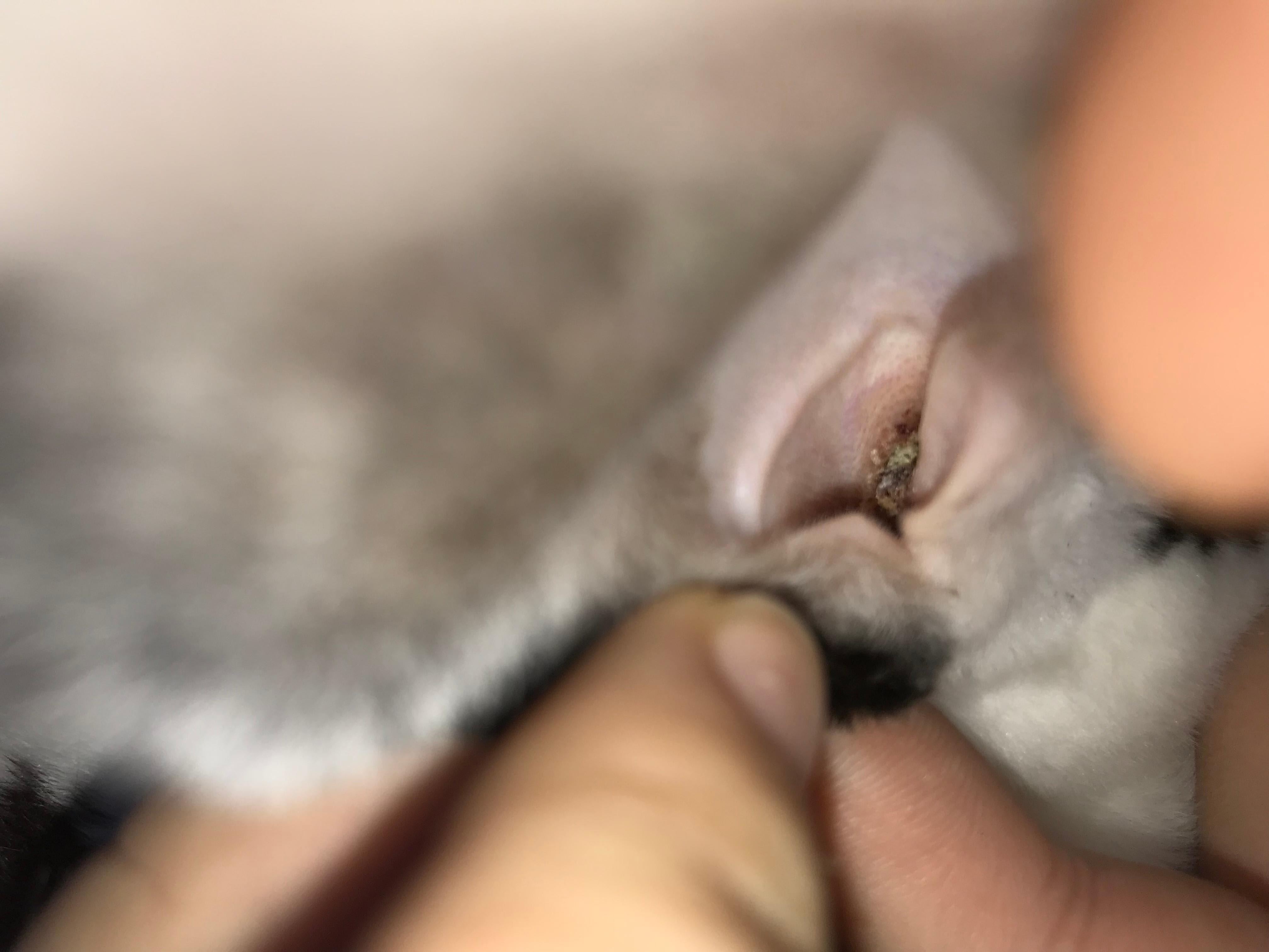 Question details sensitive content