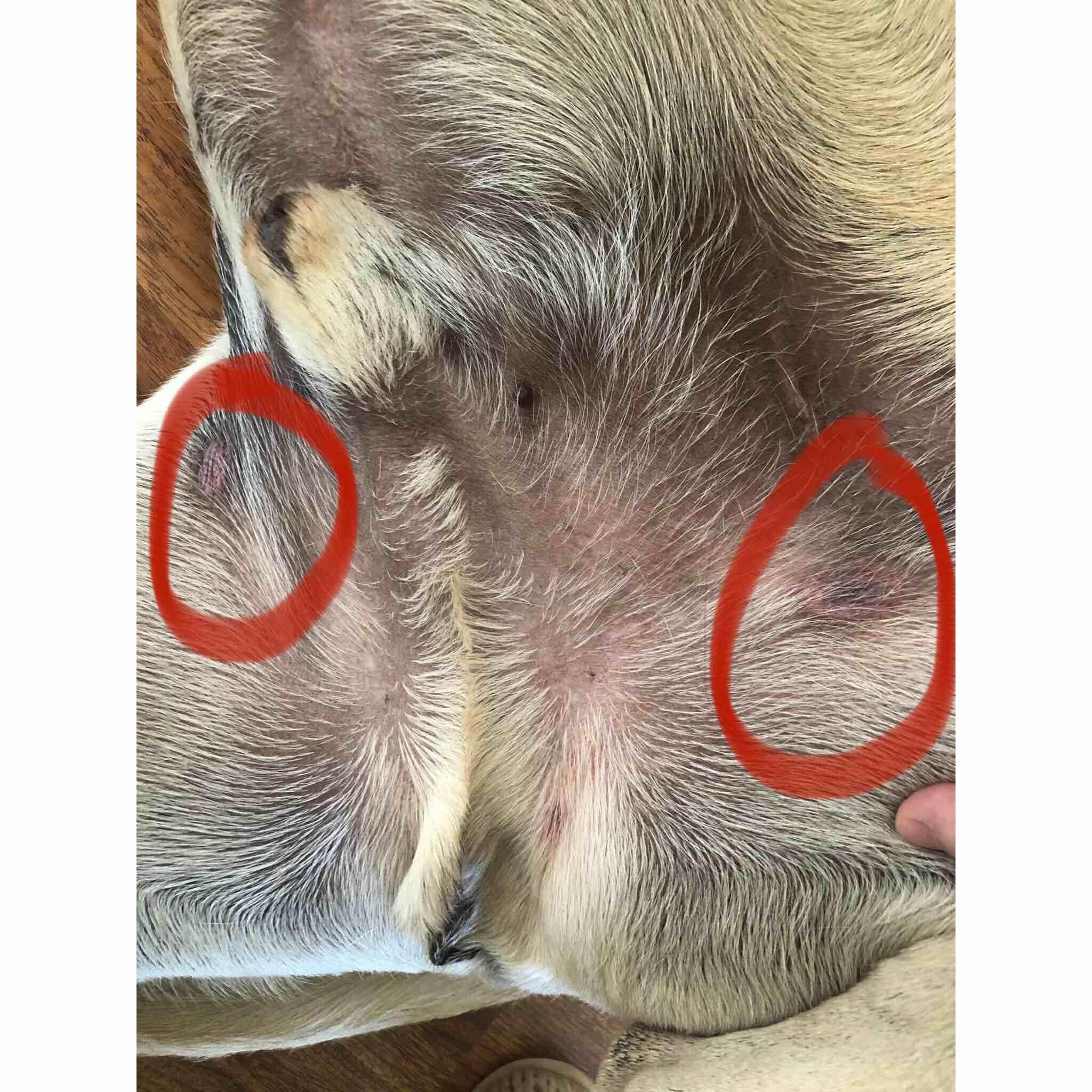 Question details sensitive content