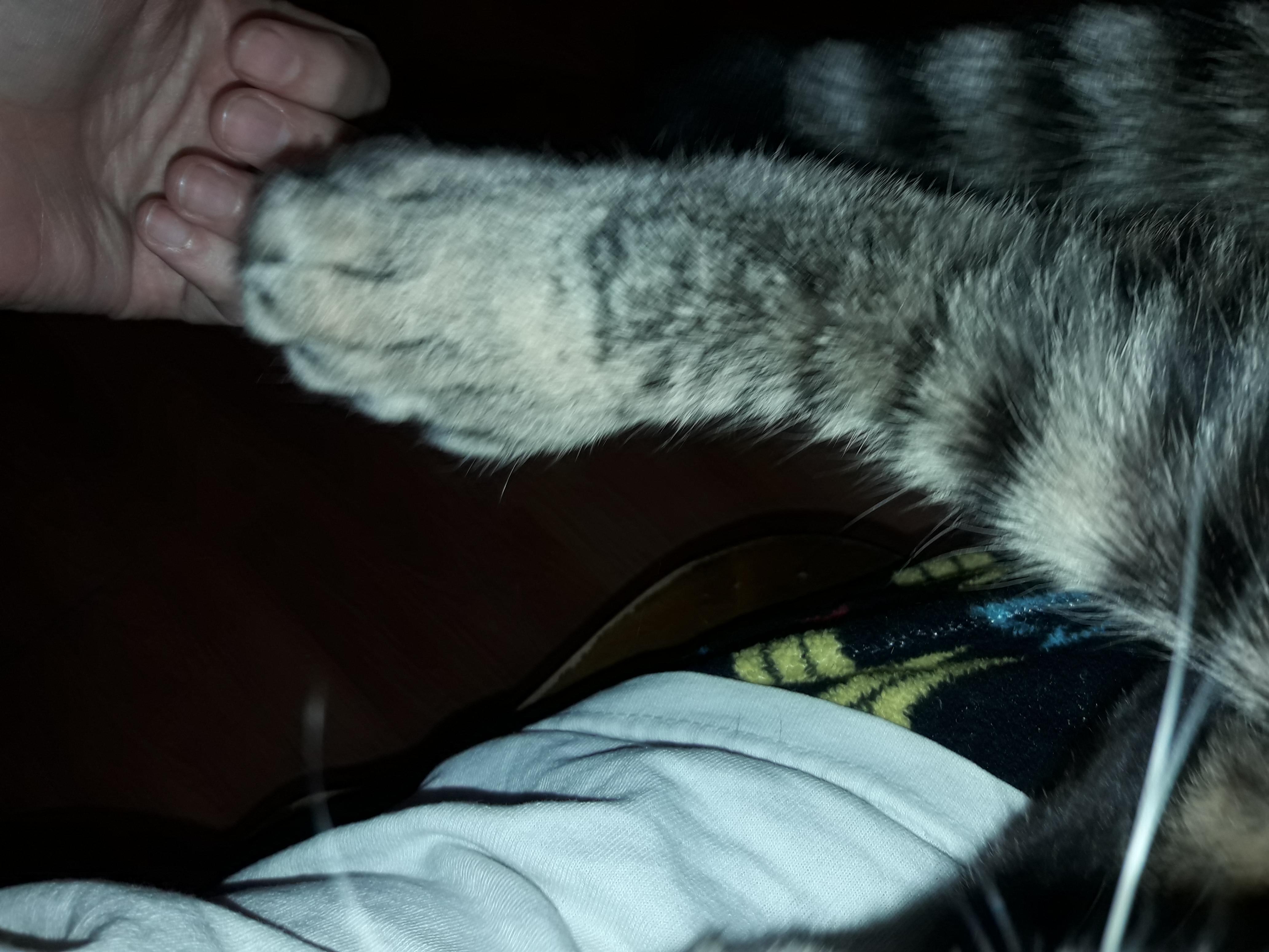 Question details sensitive content