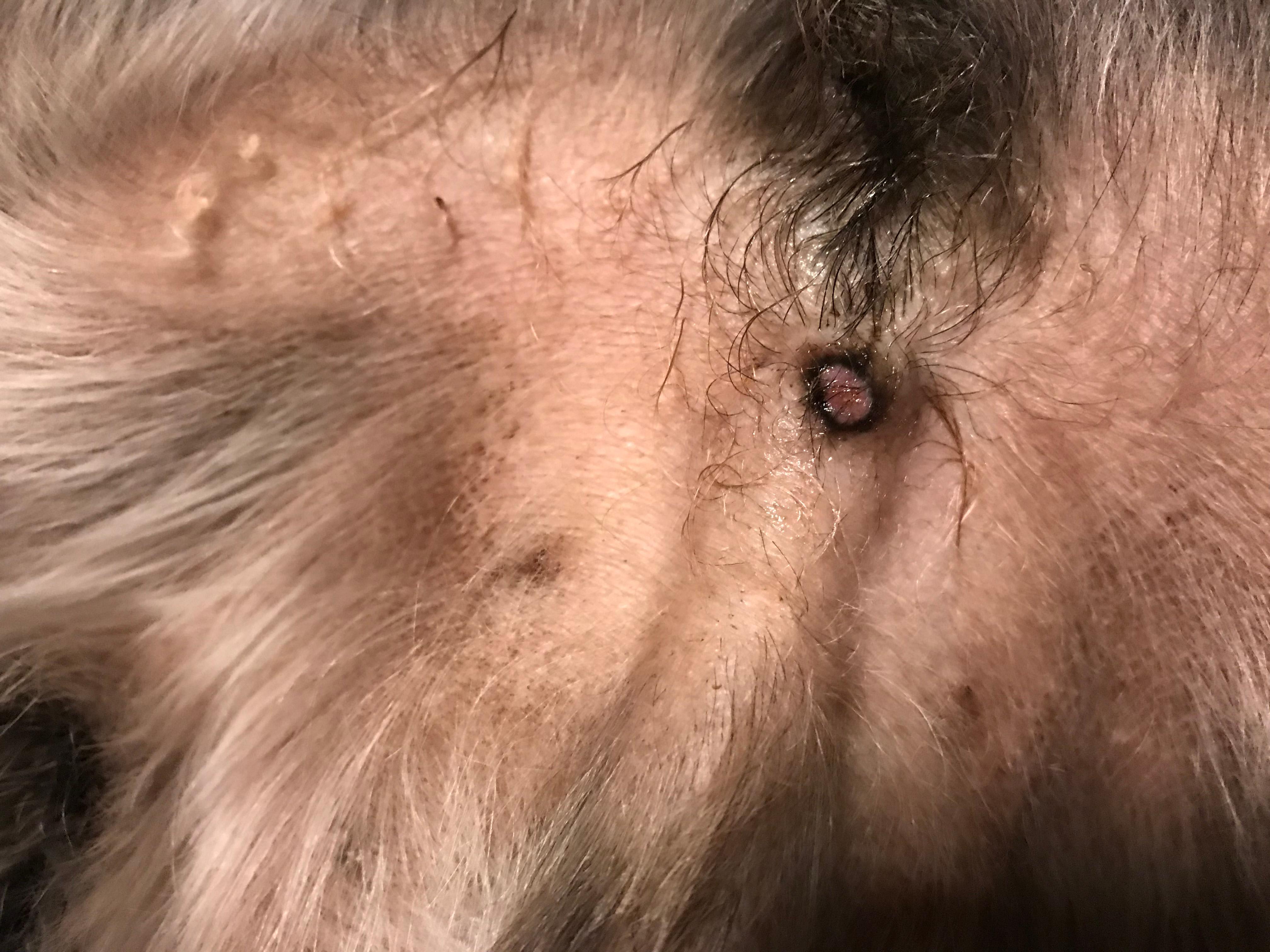 Question details sensitive content