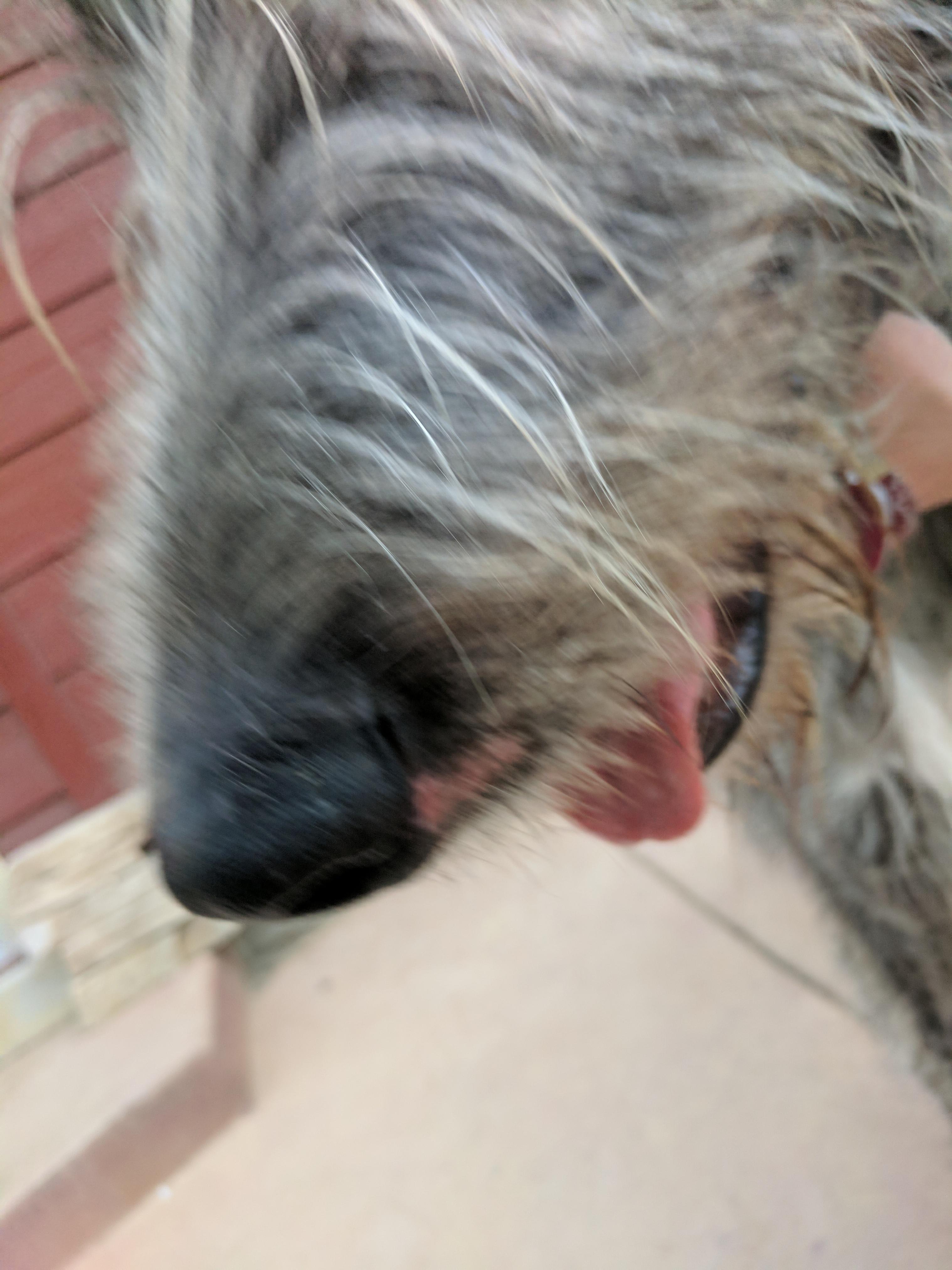 Question details sensitive content