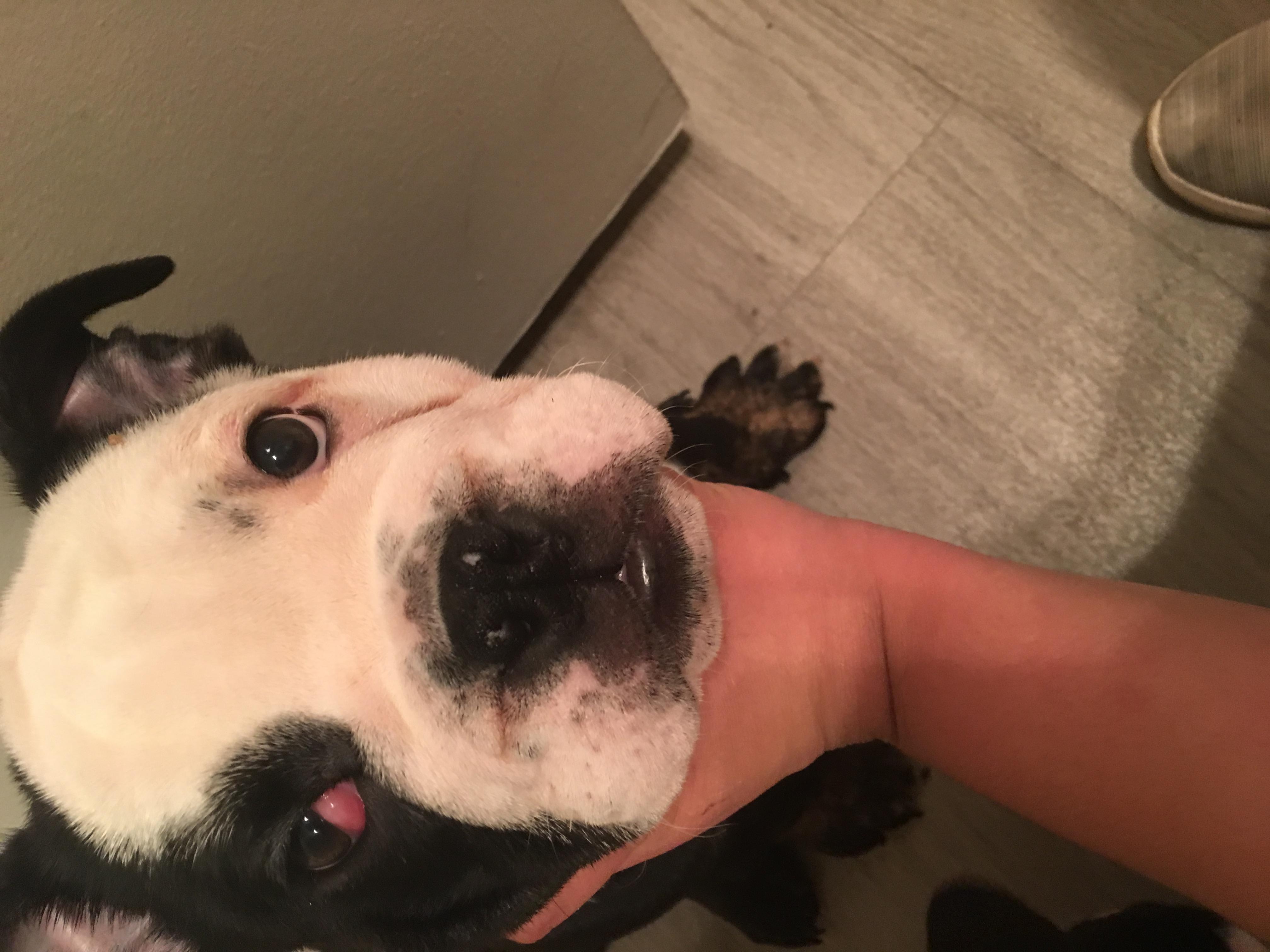 Question details sensitive content