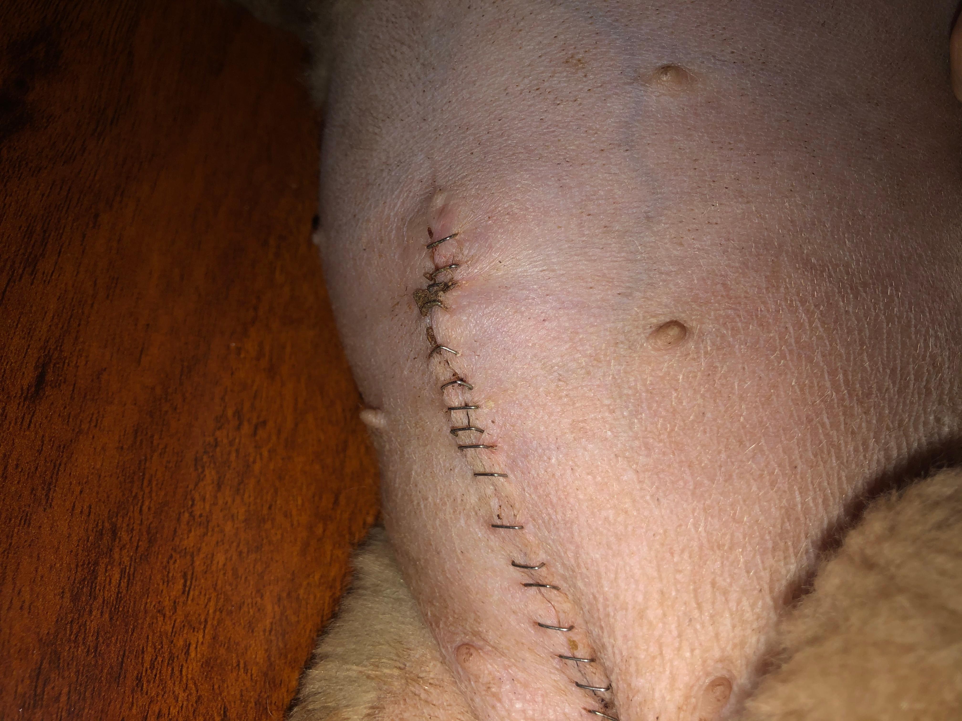 Question details sensitive content