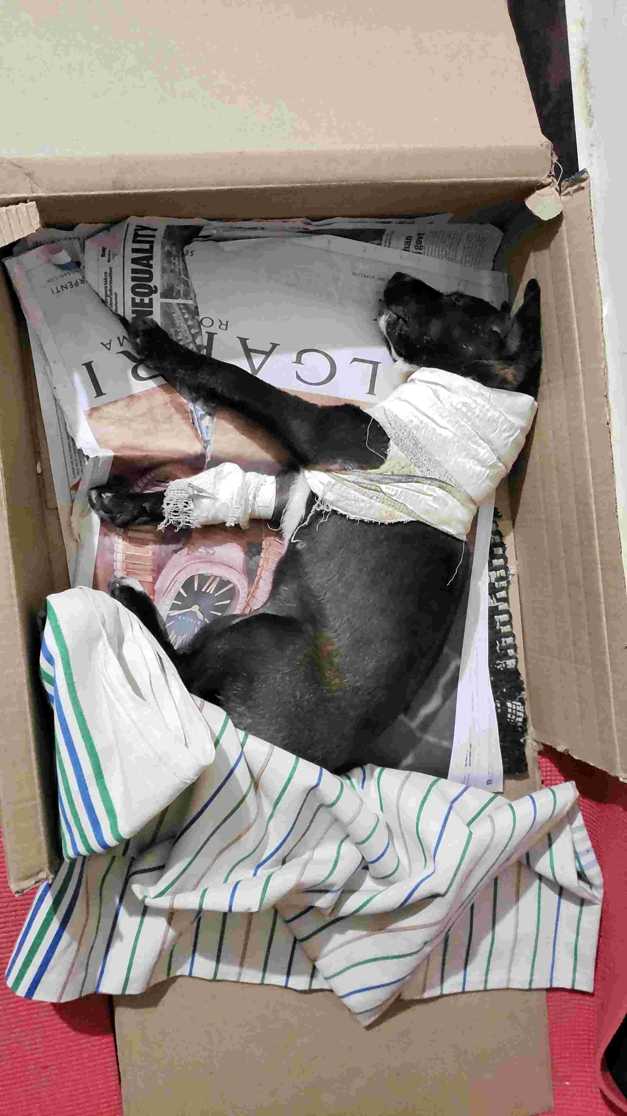 Question details sensitive content