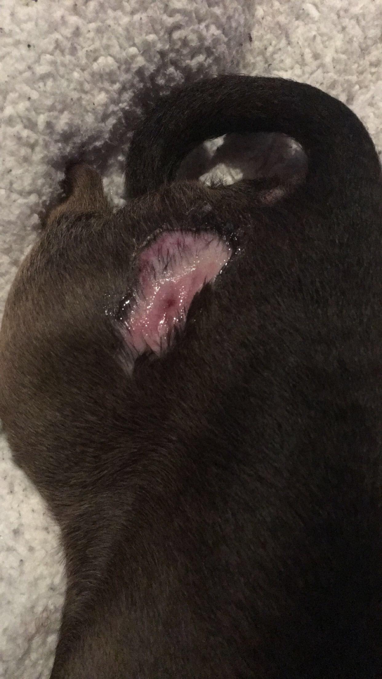 Question details sensitive content