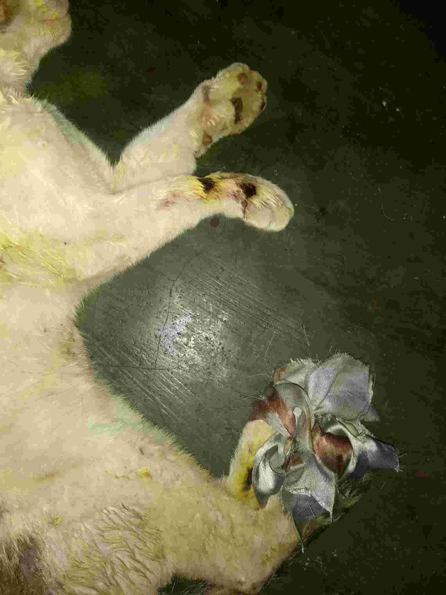 Question details sensitive content