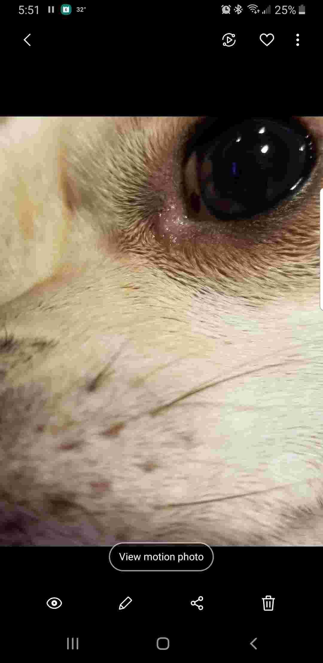 Question details sensitive content