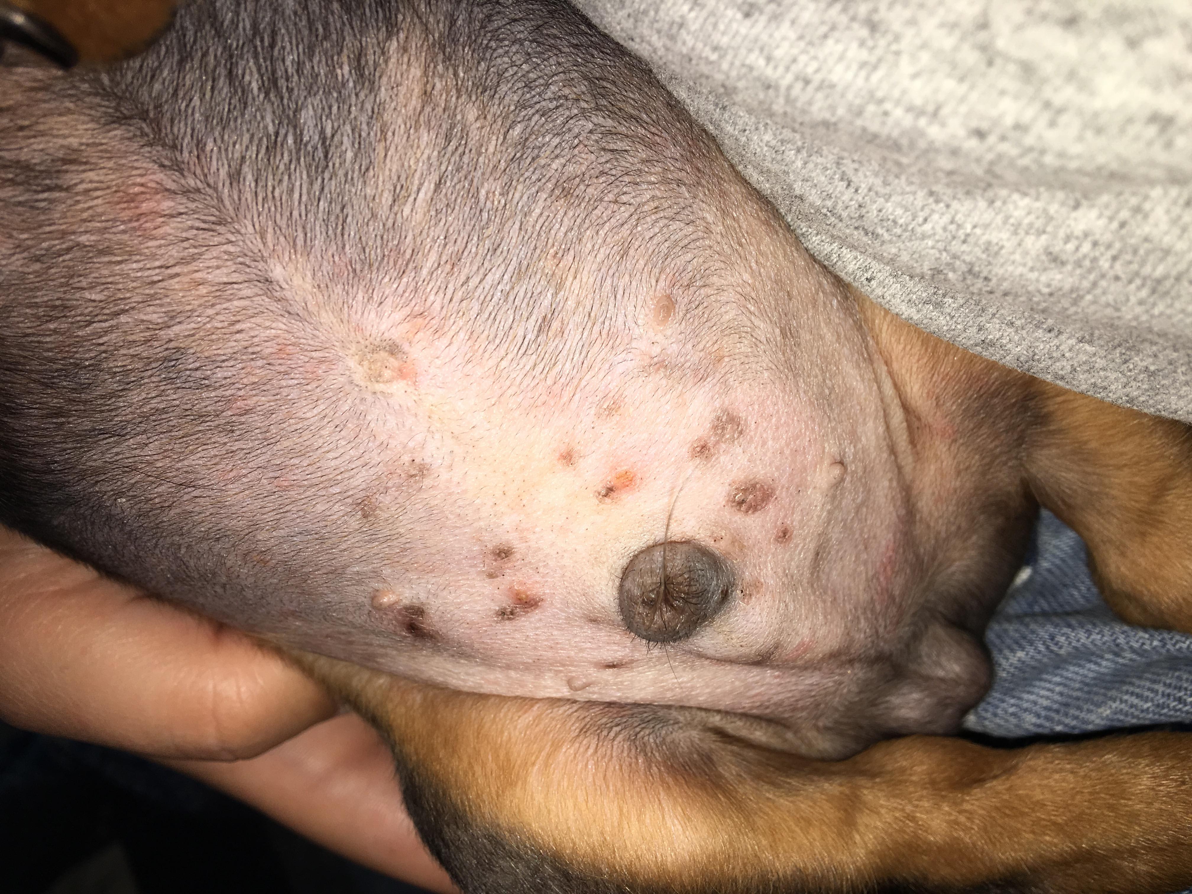 Question details sensitive content