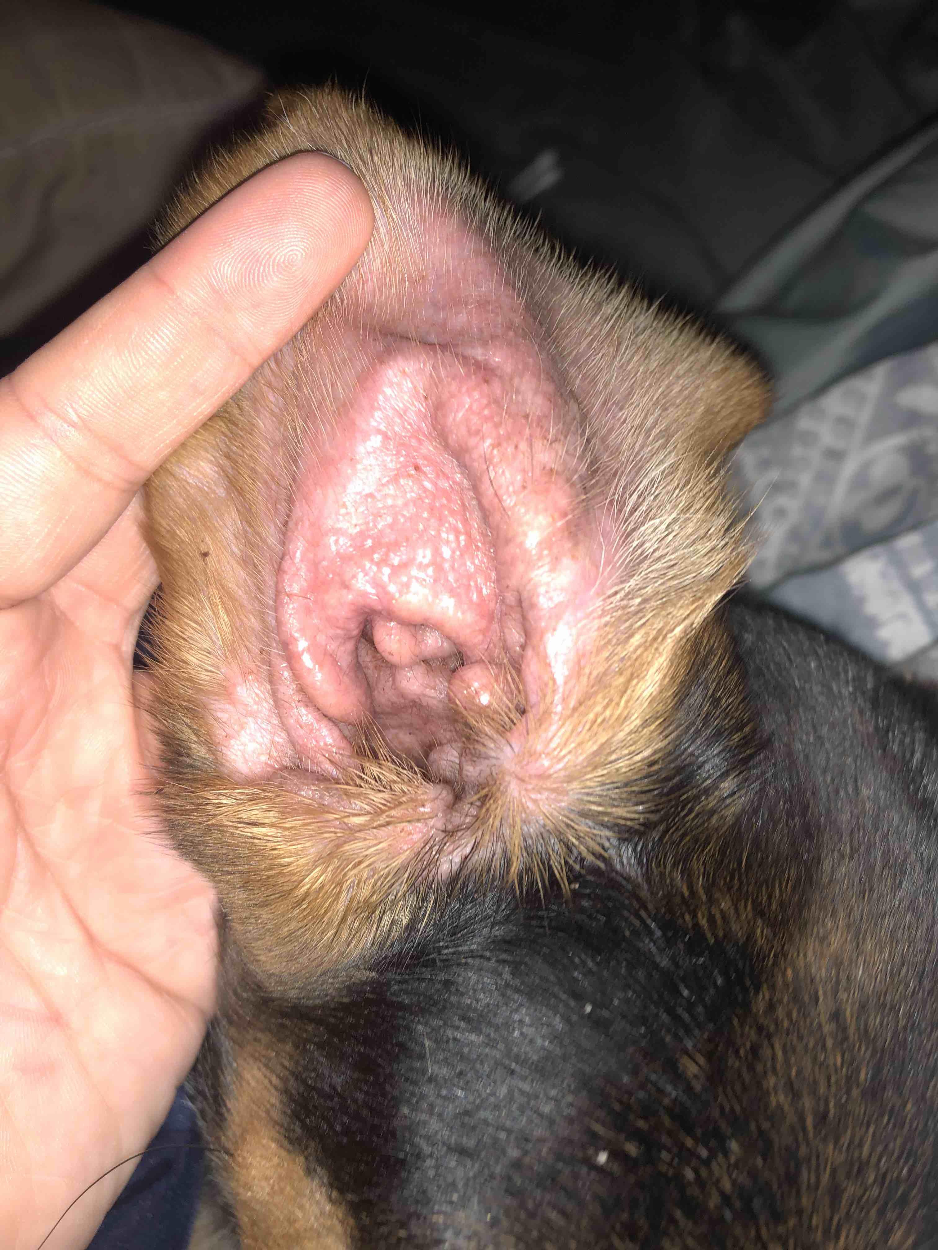 Question details sensitive content