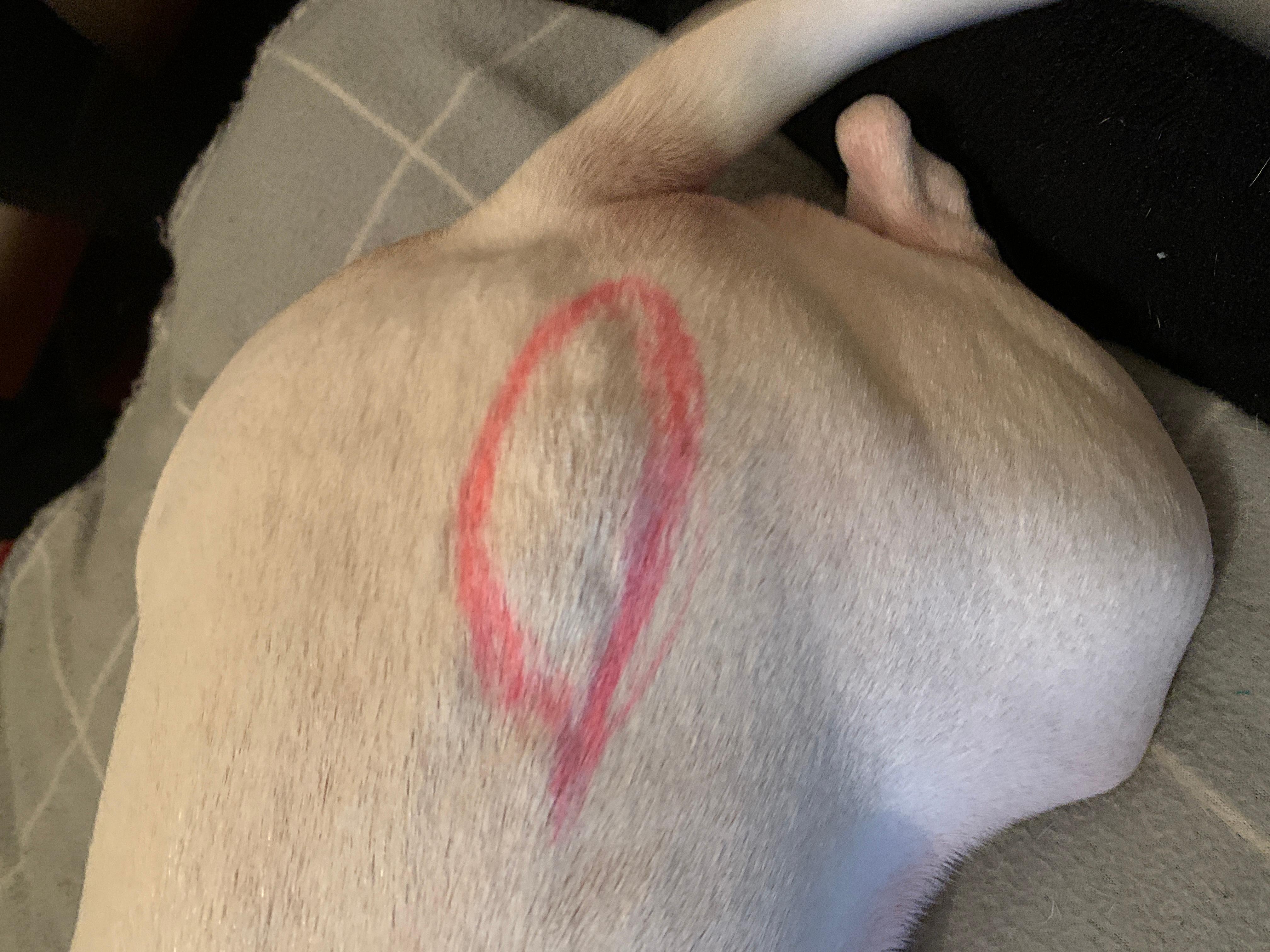 Question details sensitive content