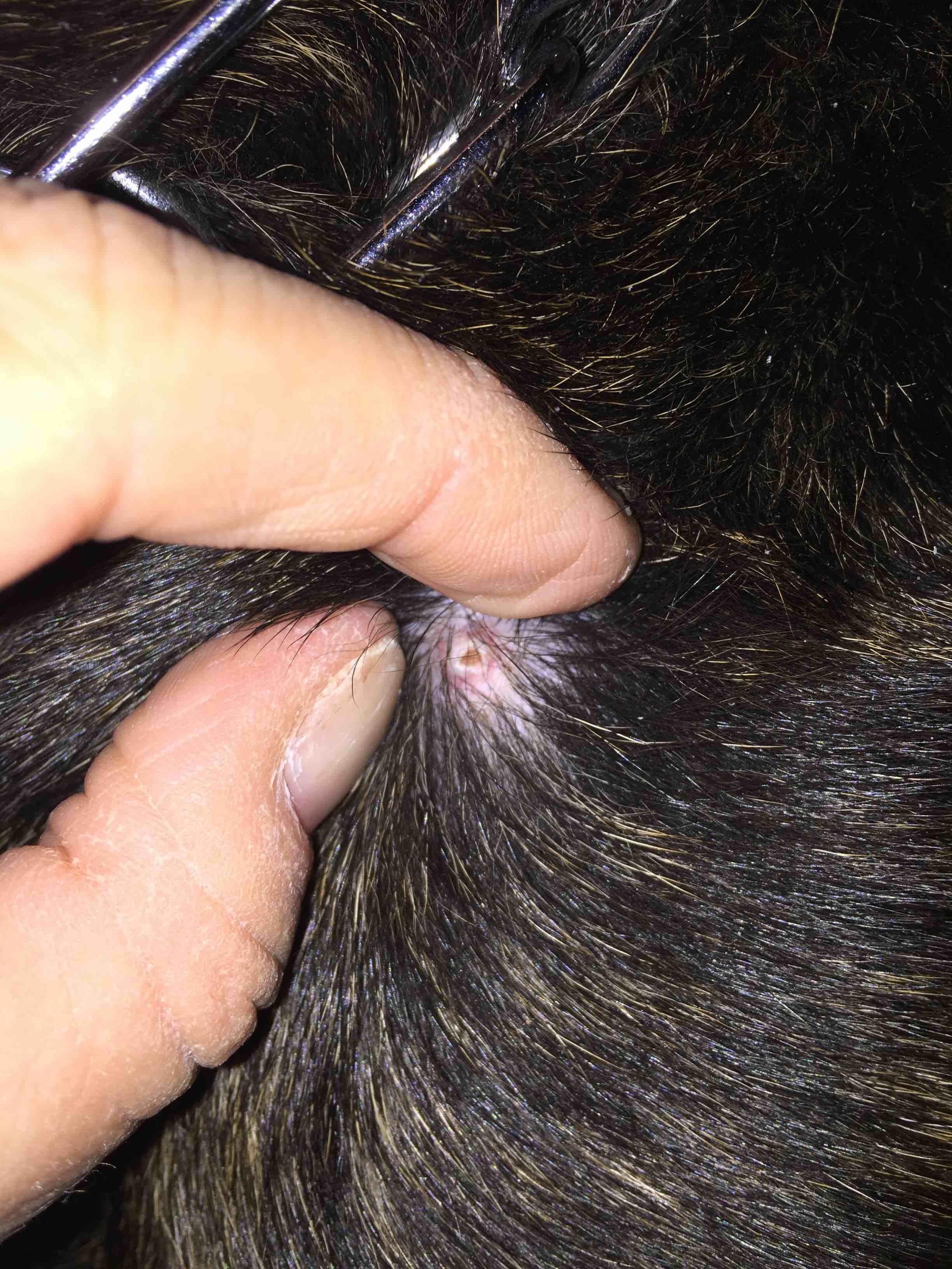 Question details sensitive content