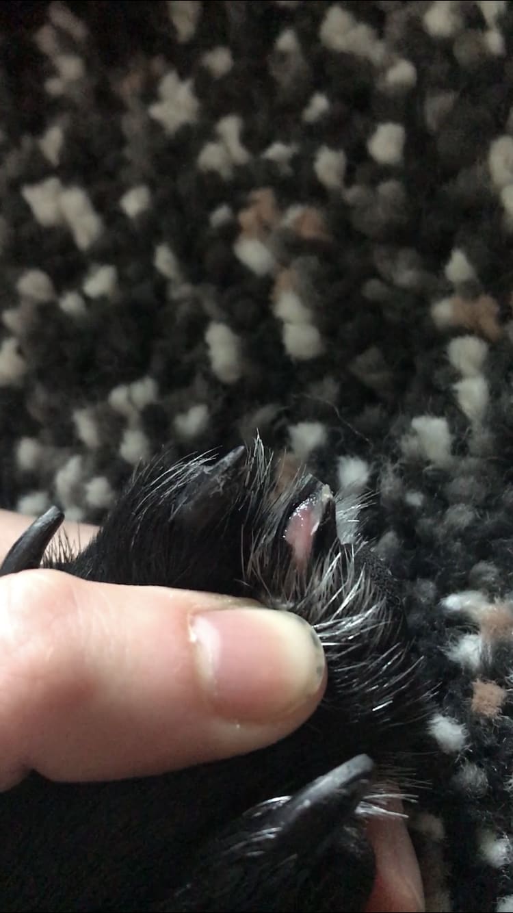 Question details sensitive content