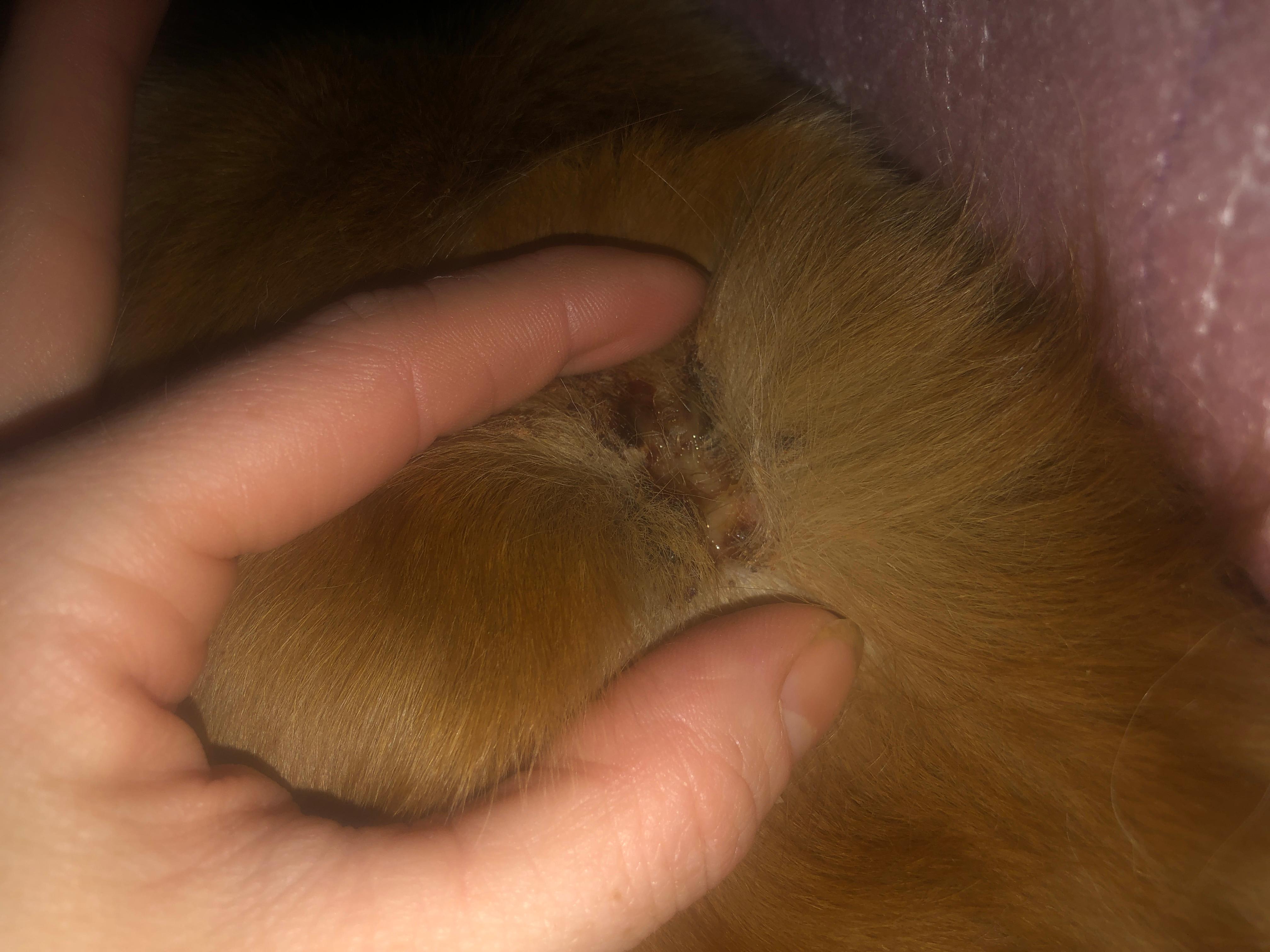 Question details sensitive content