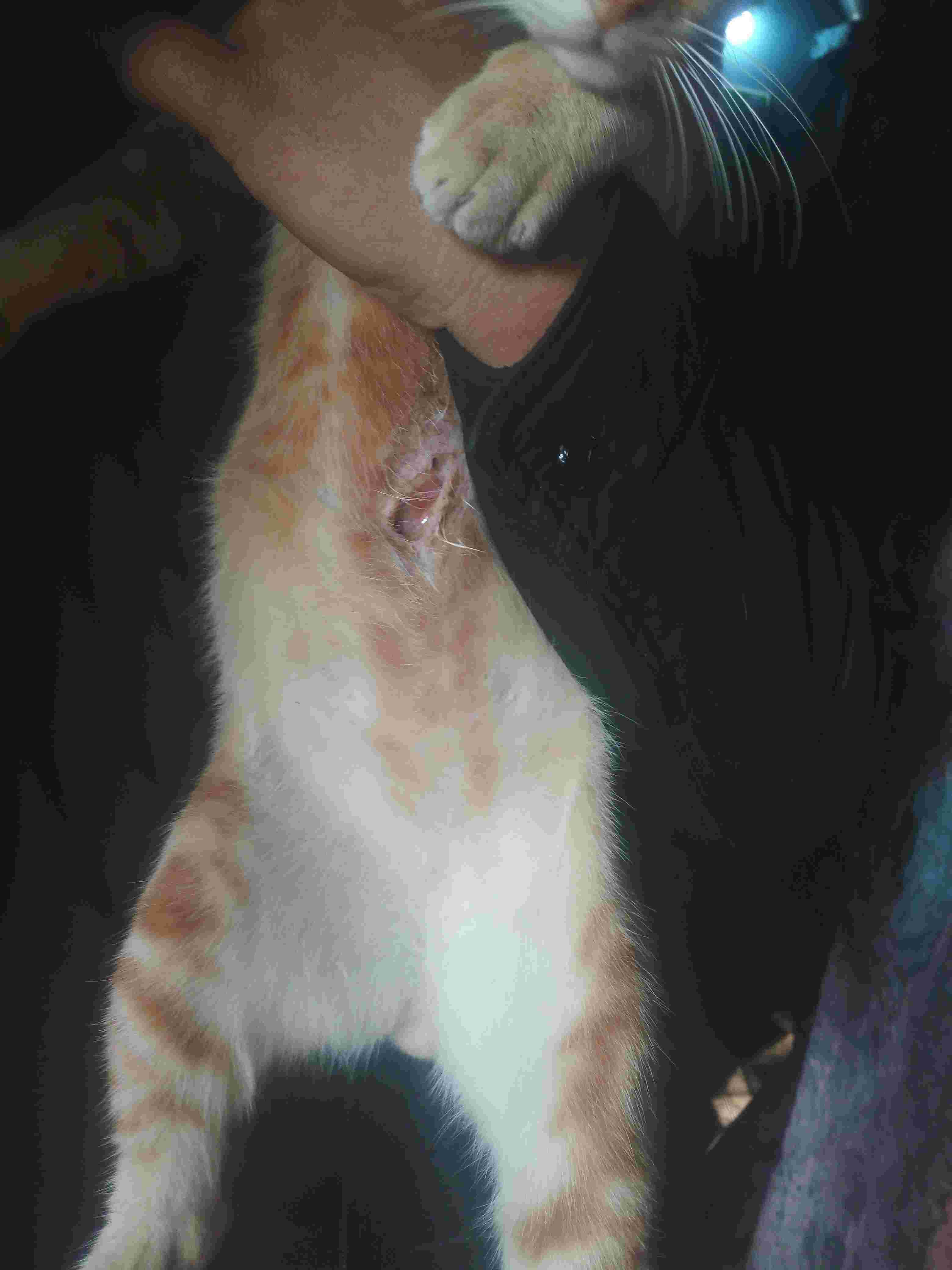 Question details sensitive content