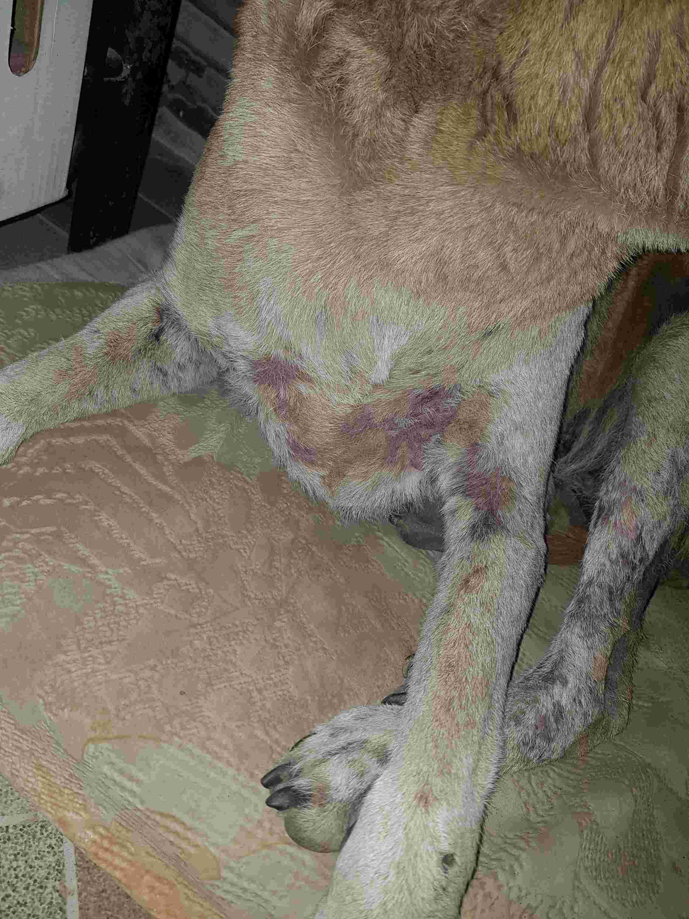 Question details sensitive content