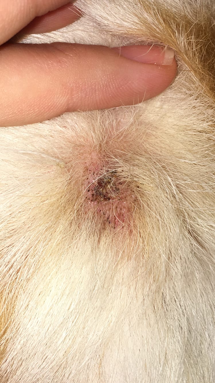 Question details sensitive content