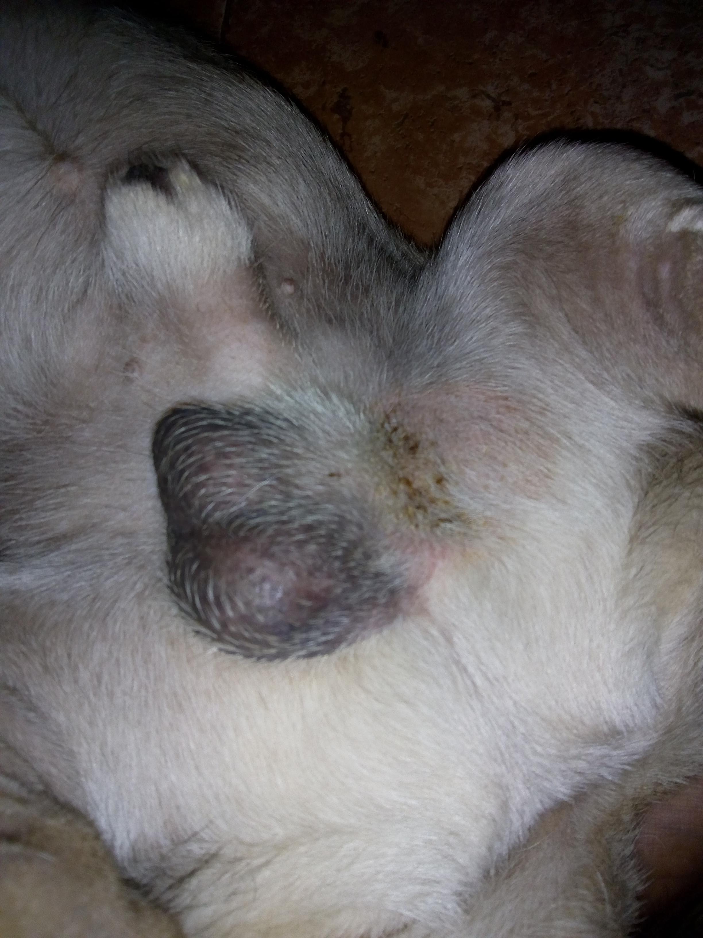 Question details sensitive content