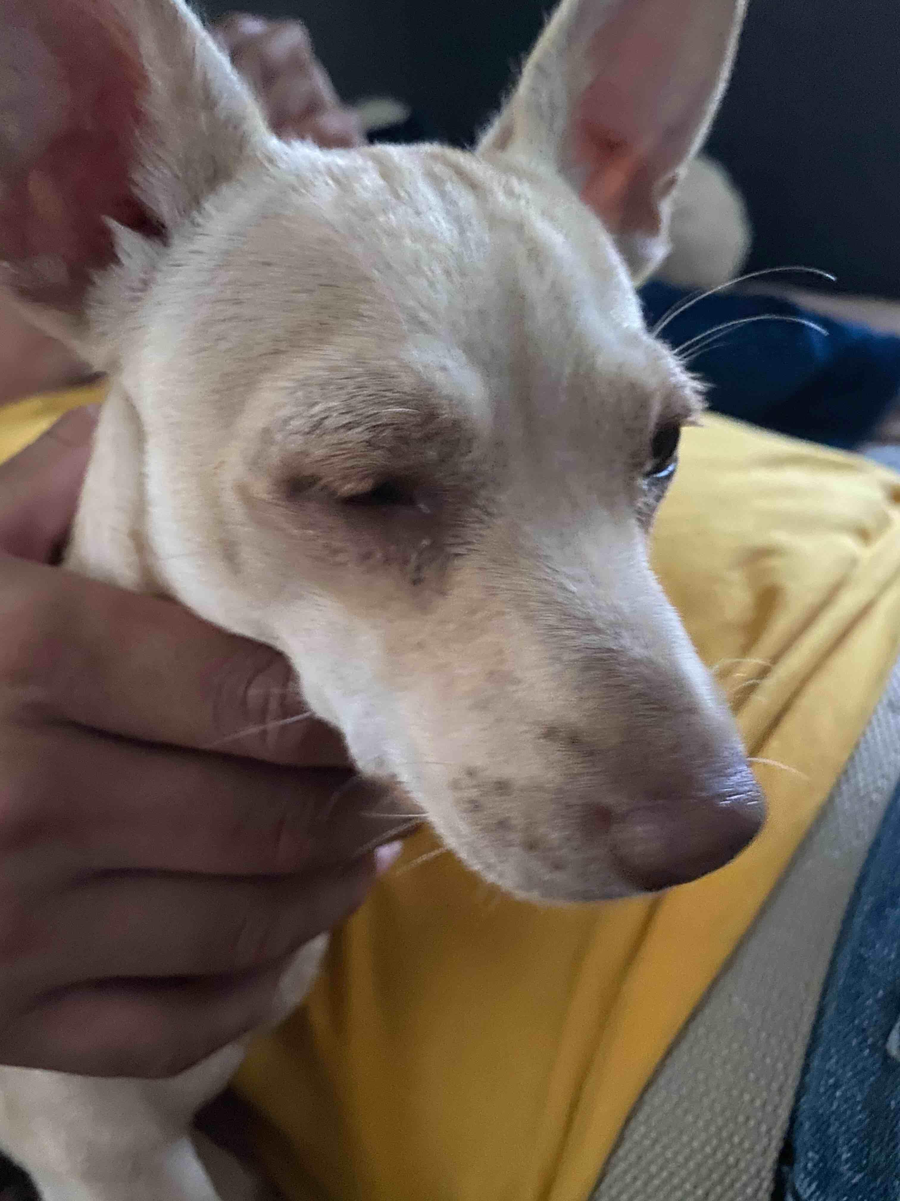 Question details sensitive content