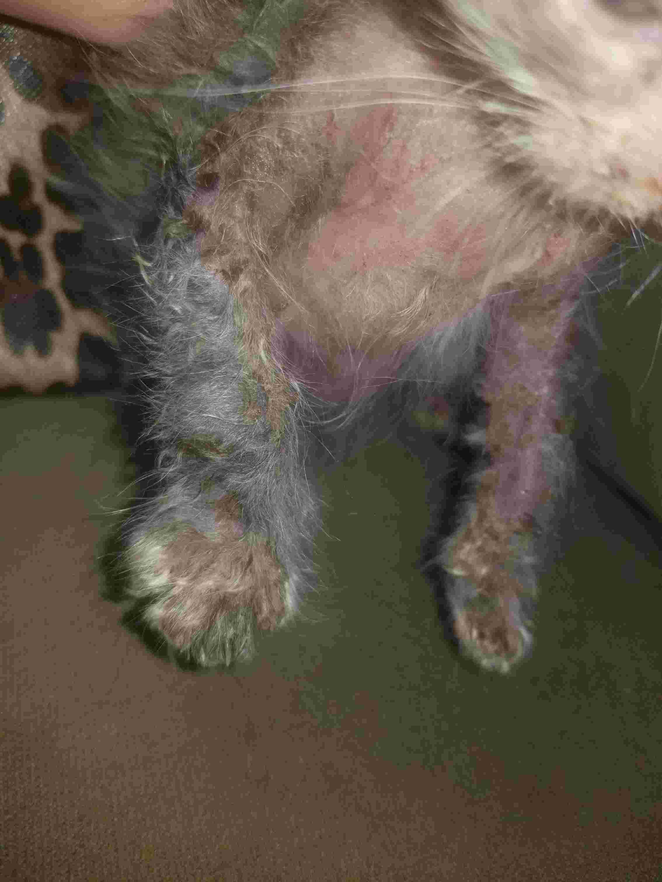 Question details sensitive content