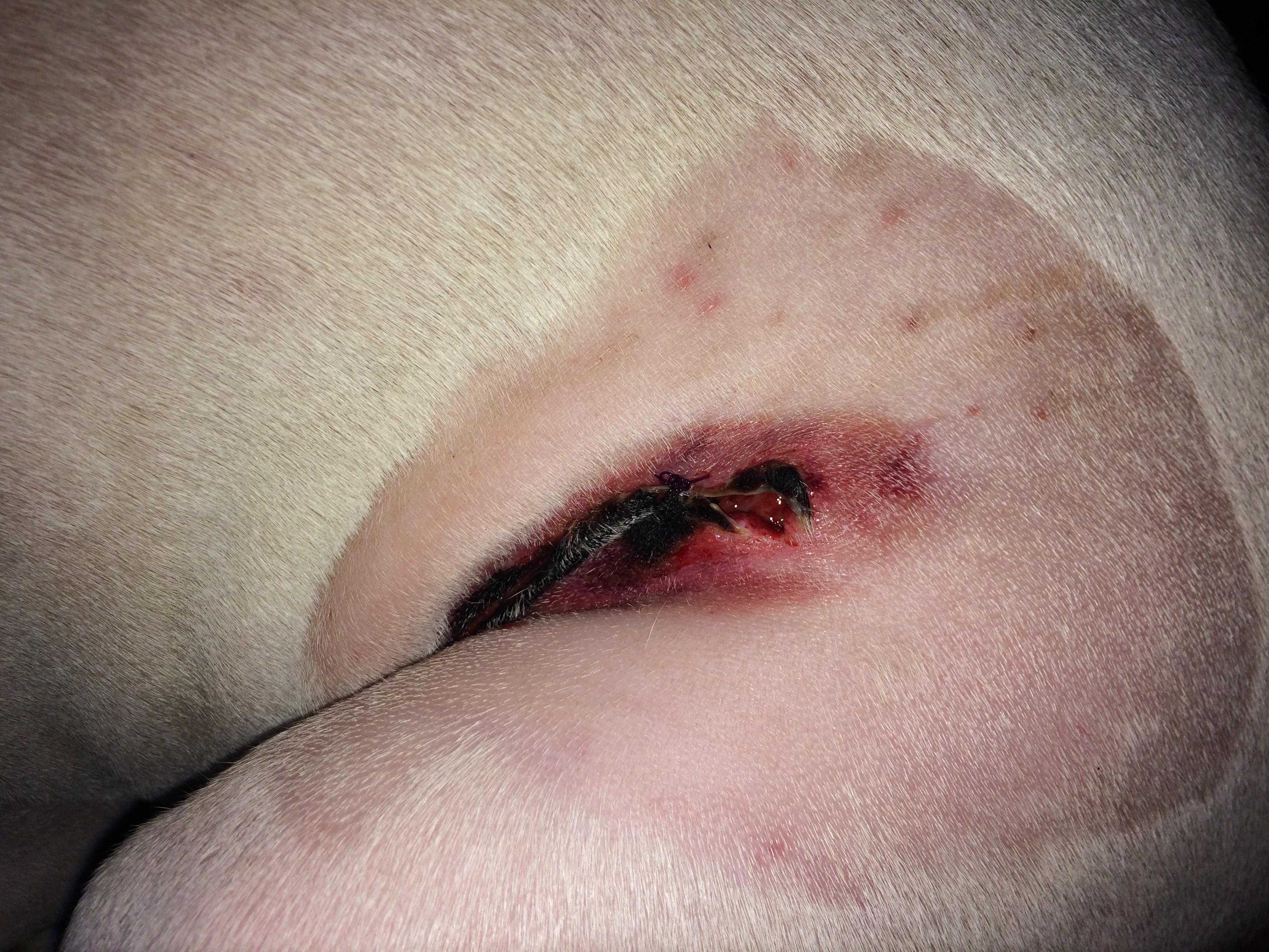 Question details sensitive content