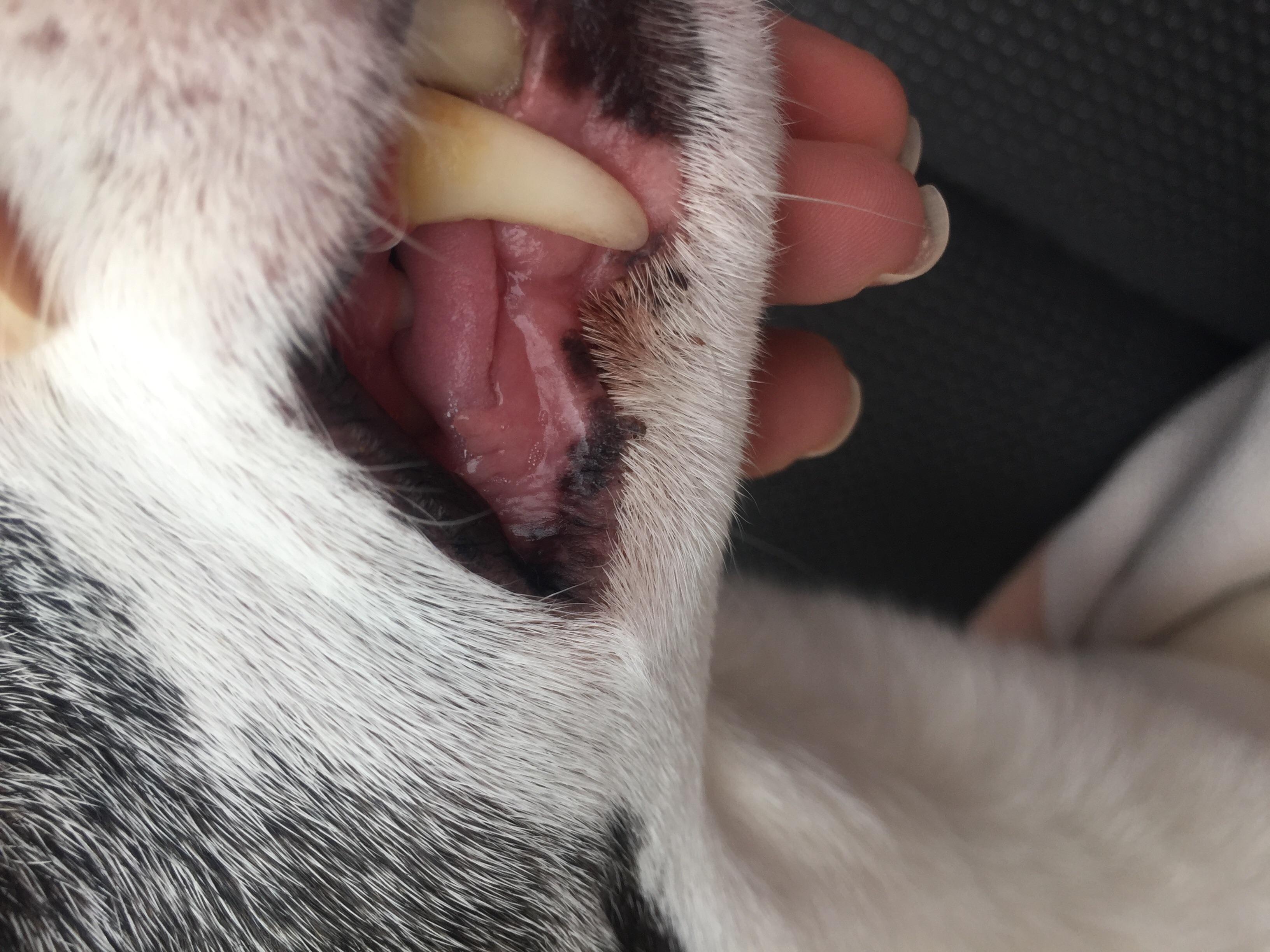 Question details sensitive content