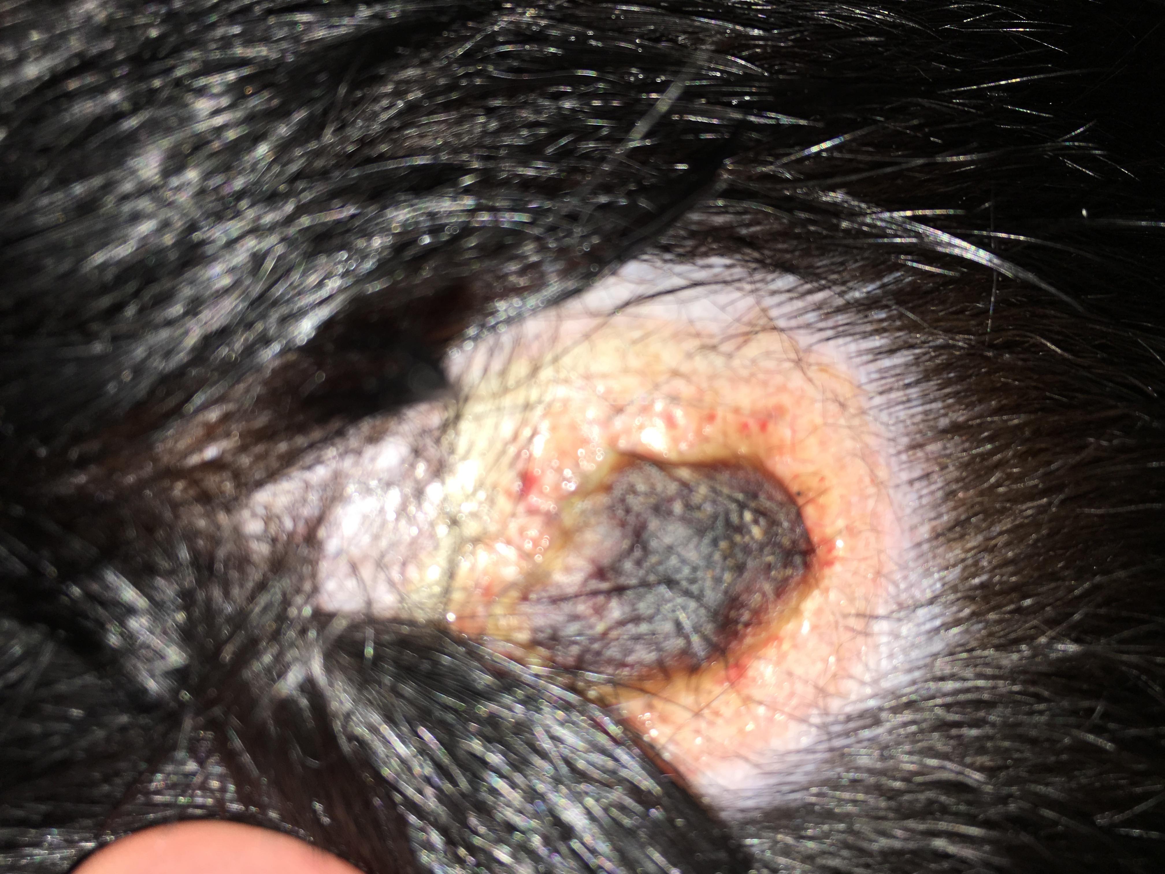 Question details sensitive content